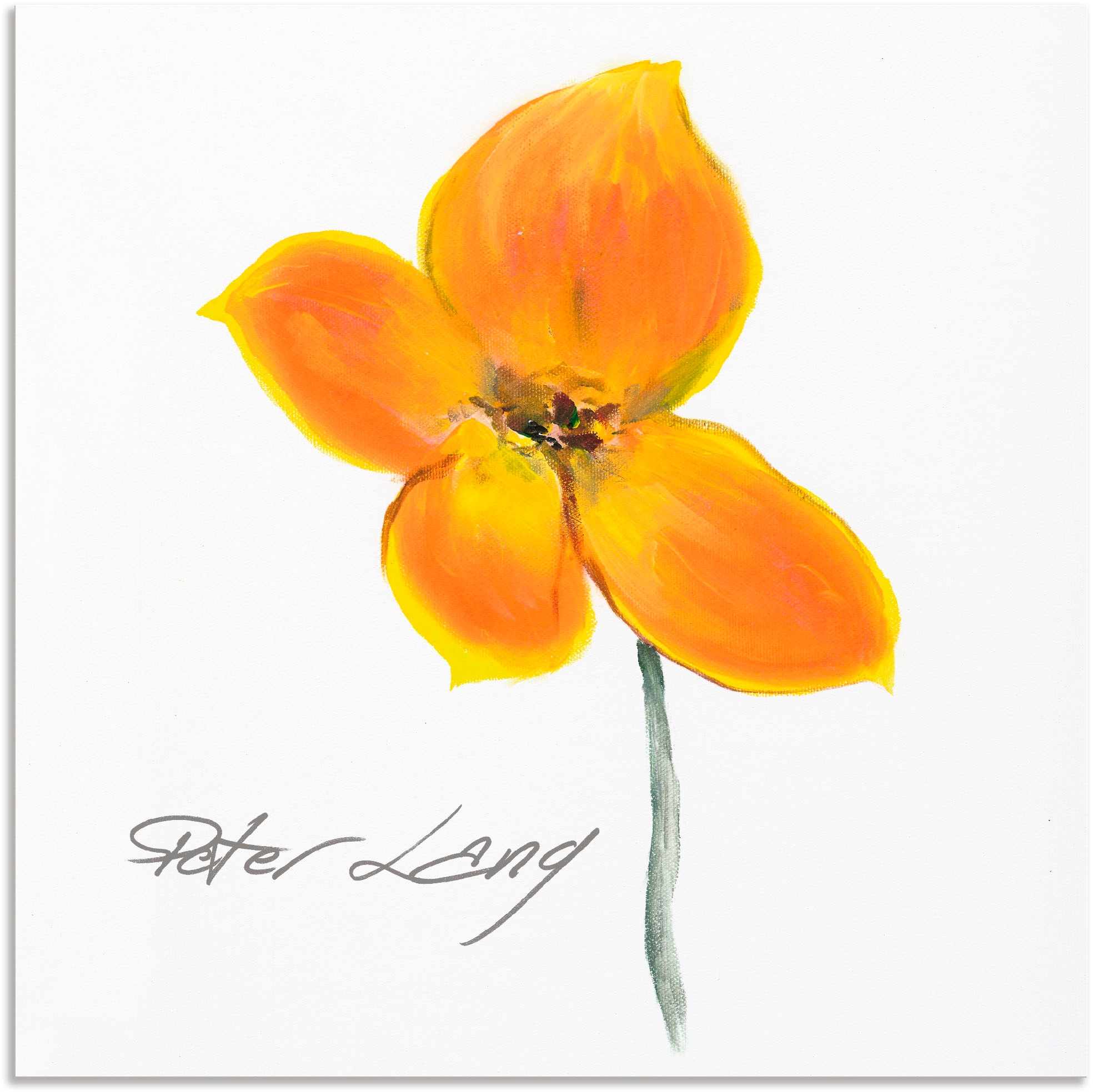 Image of Artland Wandbild »Blume_weiss VI«, Blumen, (1 St.), in vielen Grössen & Produktarten - Alubild / Outdoorbild für den Aussenbereich, Leinwandbild, Poster, Wandaufkleber / Wandtattoo auch für Badezimmer geeignet bei Ackermann Versand Schweiz