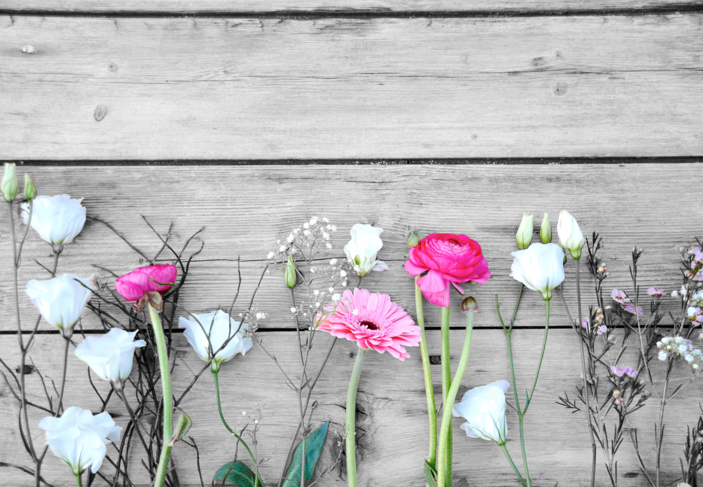 Image of Home affaire Deco-Panel »Einzelne Blumen auf Holz«, hochwertiger Kunstdruck bei Ackermann Versand Schweiz