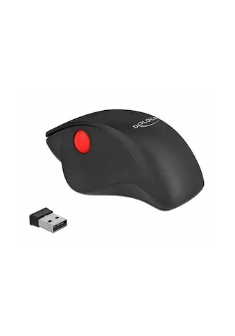 ergonomische Maus »Delock Ergonomische Maus 12598 USB«