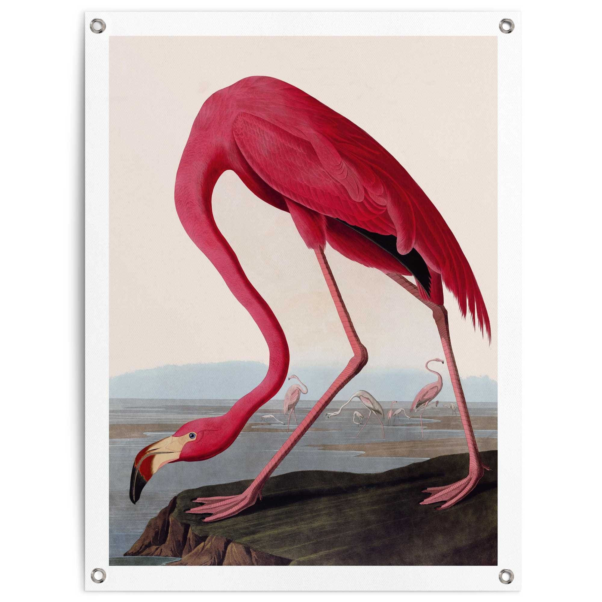 Image of Reinders Poster "Audubon Flamingo" Garten - Rosa - Leinwand - Tiere - 60x80 cm