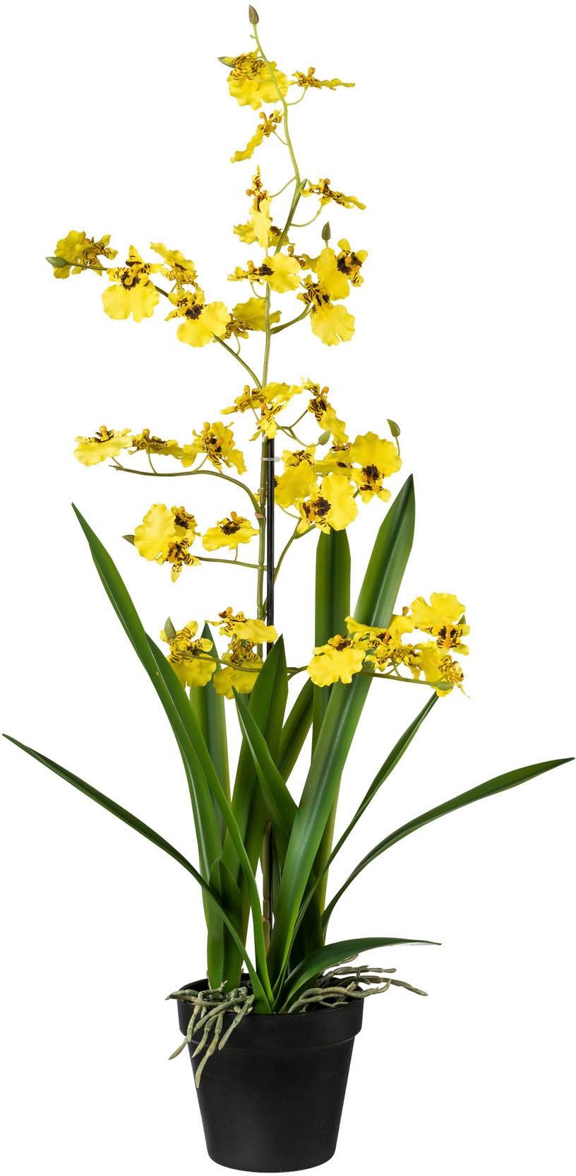 Image of Creativ green Kunstpflanze, (1 St.) bei Ackermann Versand Schweiz