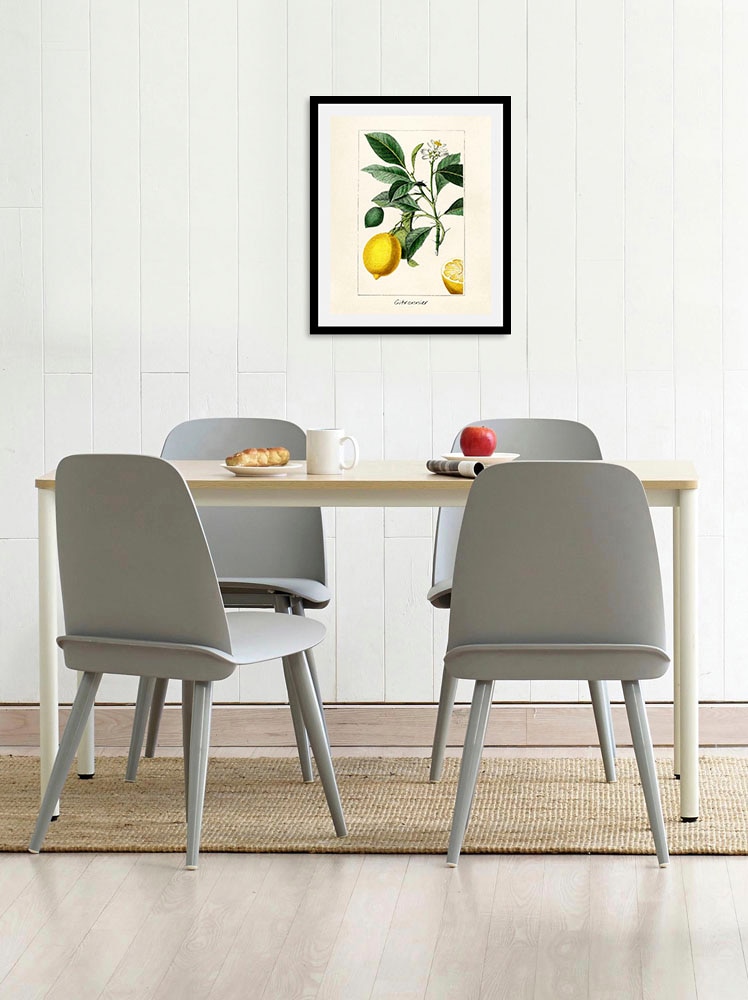 Image of queence Bild "Citronnier" Essen Italien Kunst Lebensmittel Obst Obst Bilder Schriftzug Spanien 1 Stk. tlg. gerahmt