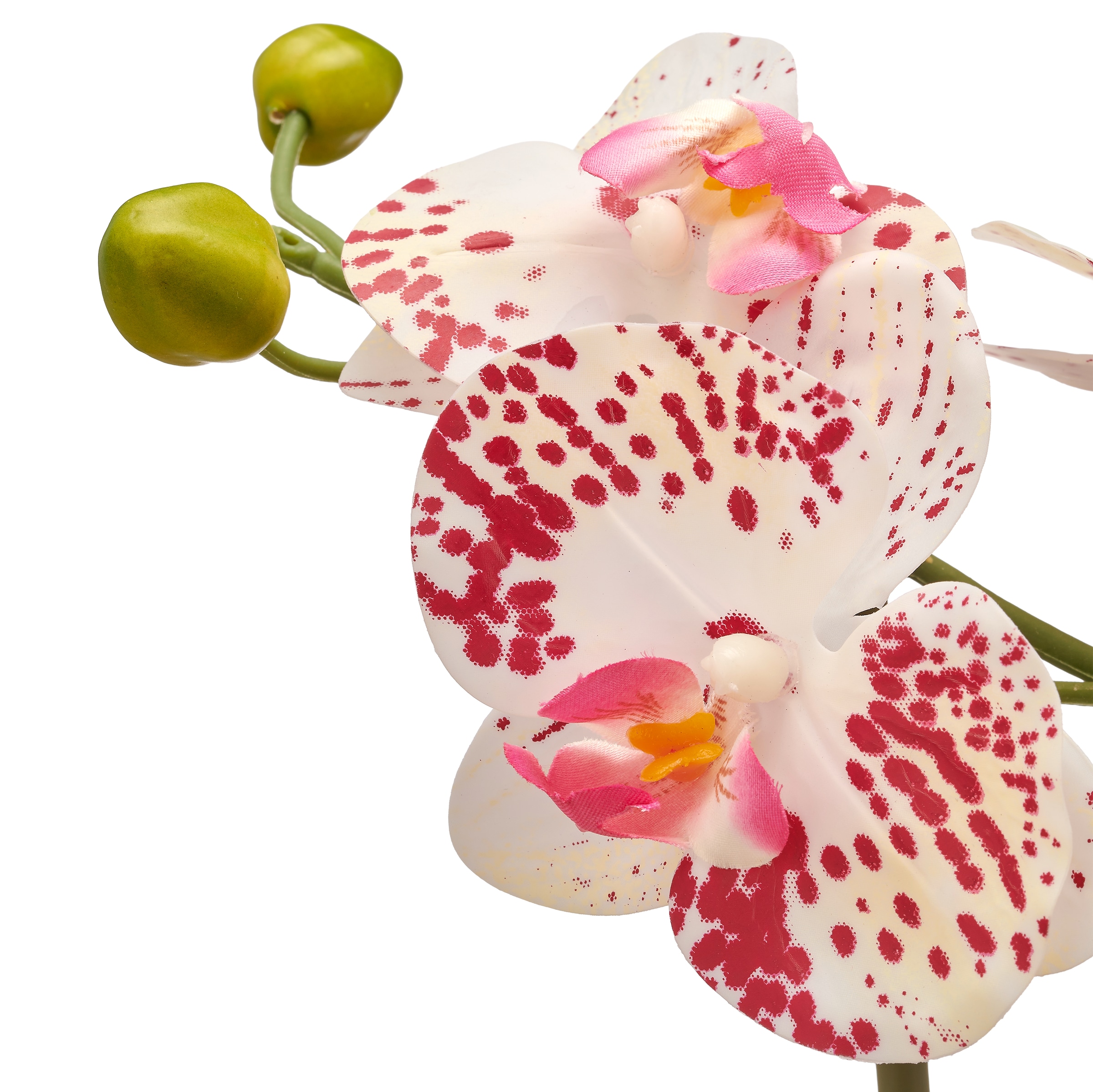 Creativ green Kunstorchidee »Orchidee Phalaenopsis« im Design-Topf