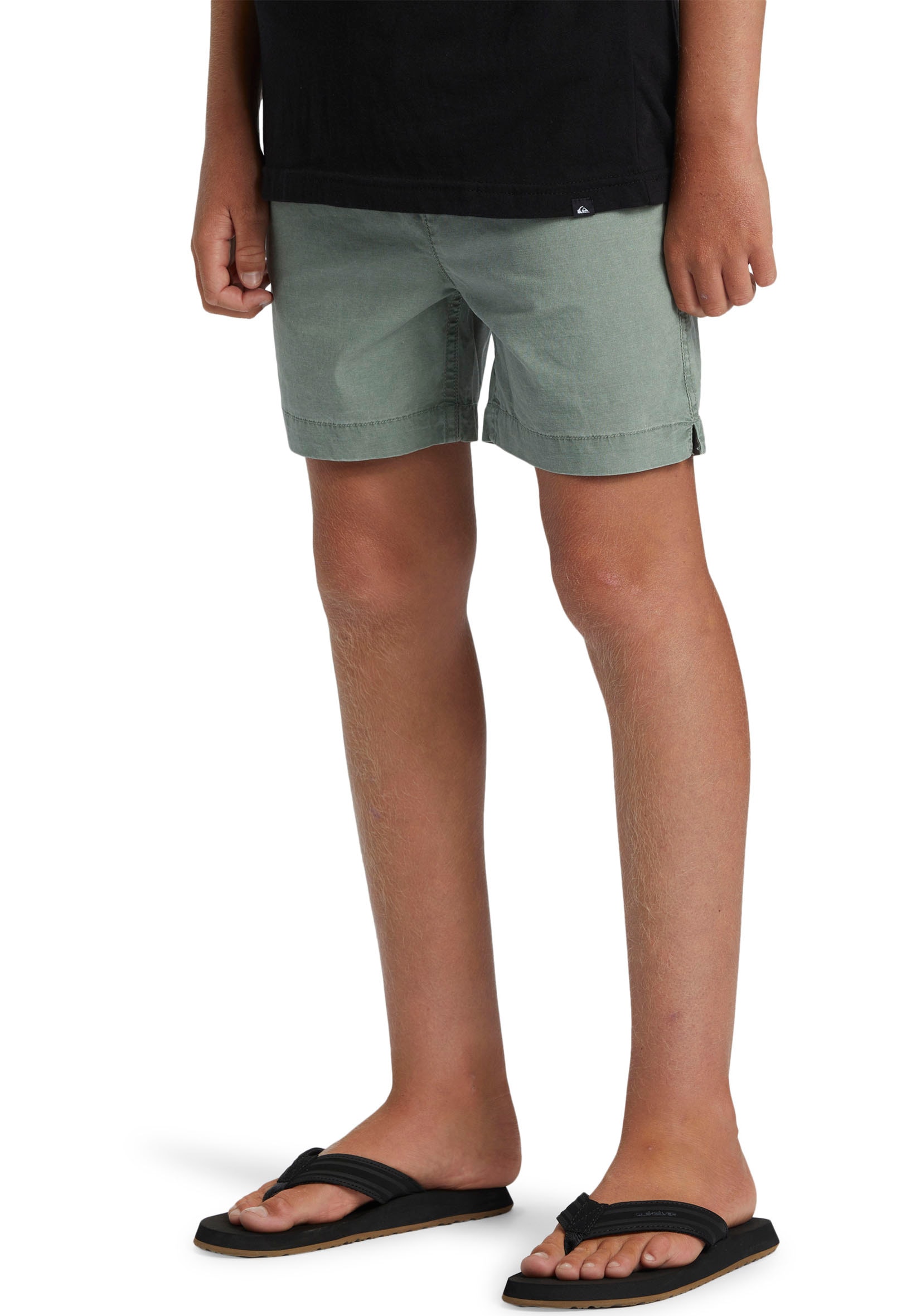 Quiksilver Shorts »TAXER YOUTH«