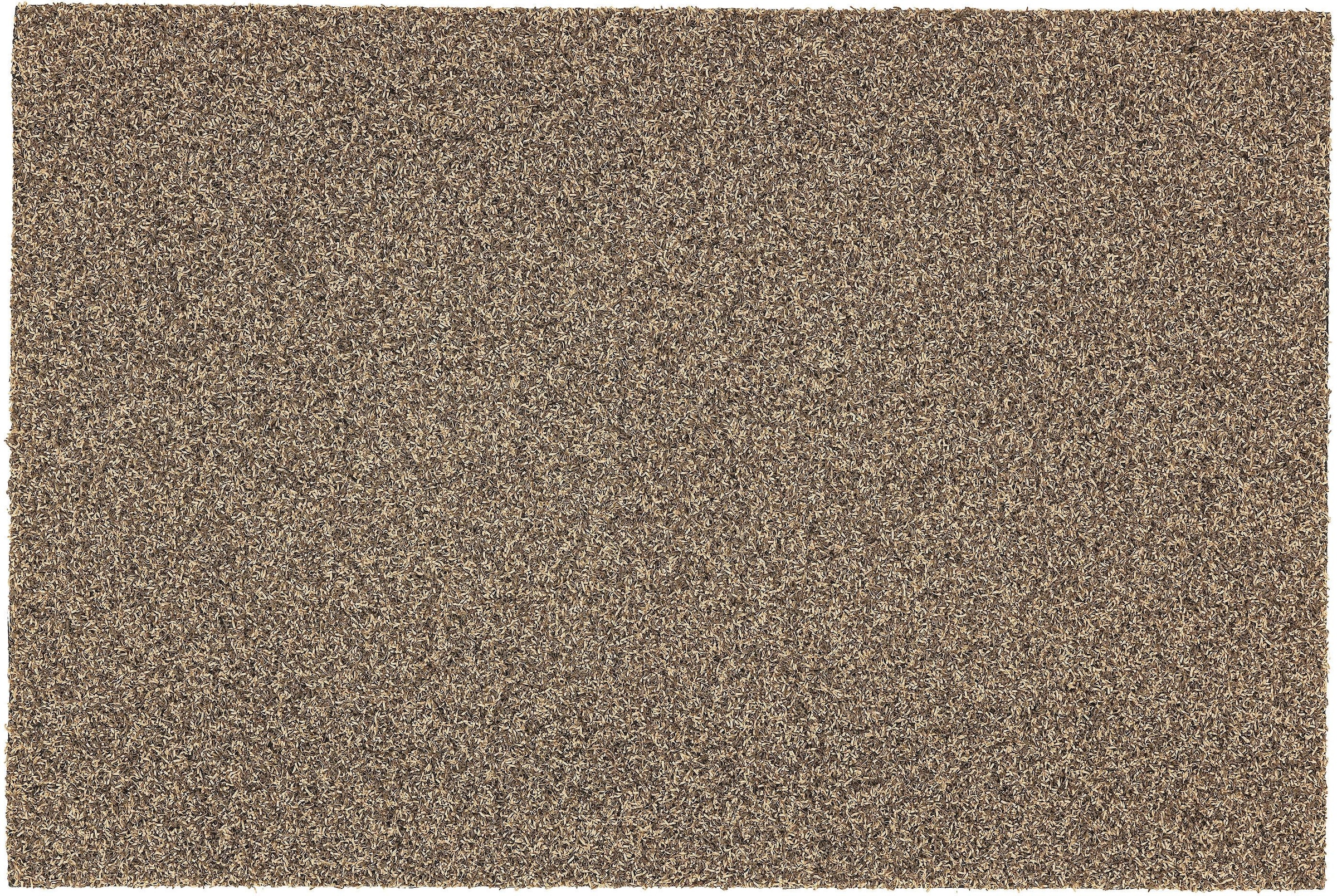 Image of ASTRA Fussmatte "Brush Line 240" rechteckig 11 mm Höhe Türmatte, Schmutzfangmatte, In -und Outdoor geeignet