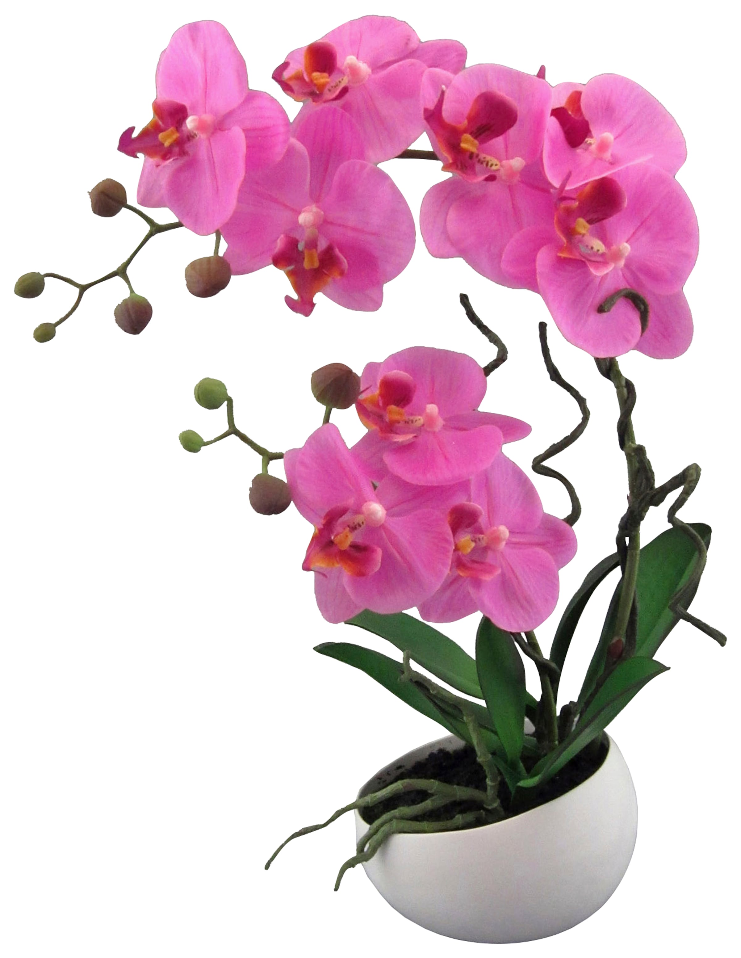 bas à Creativ Kunstpflanze green prix »Orchidee«