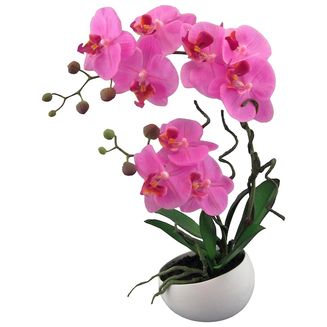Creativ green Kunstpflanze »Orchidee« à bas prix