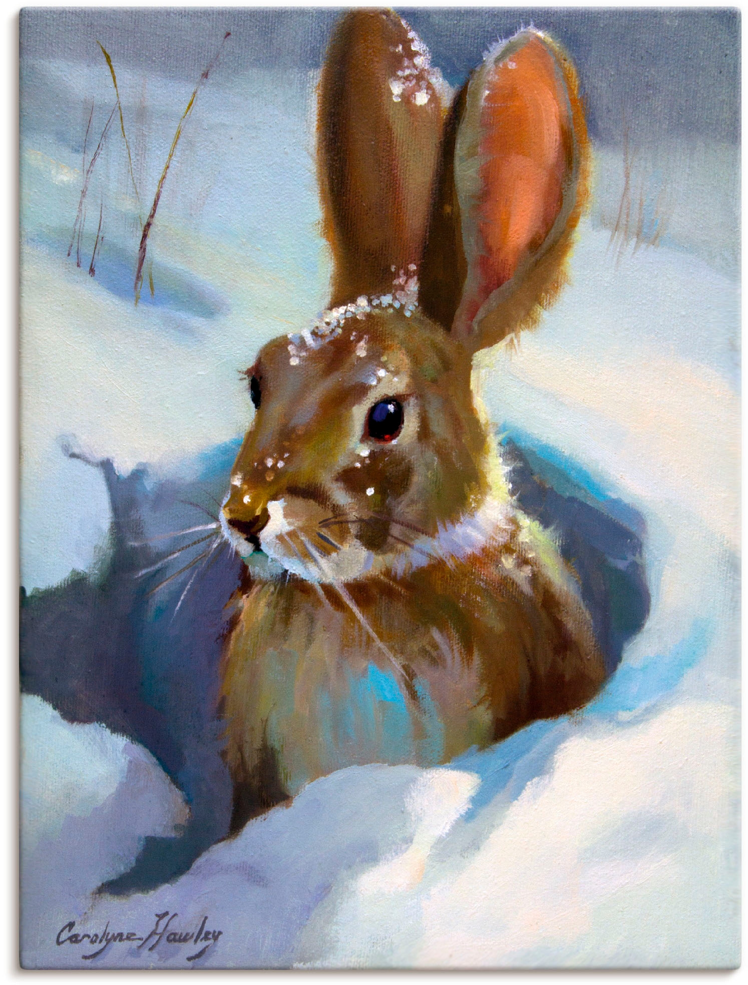 Image of Artland Leinwandbild "Schneehase" Wildtiere 1 Stk. tlg. auf Holzrahmen gespannt