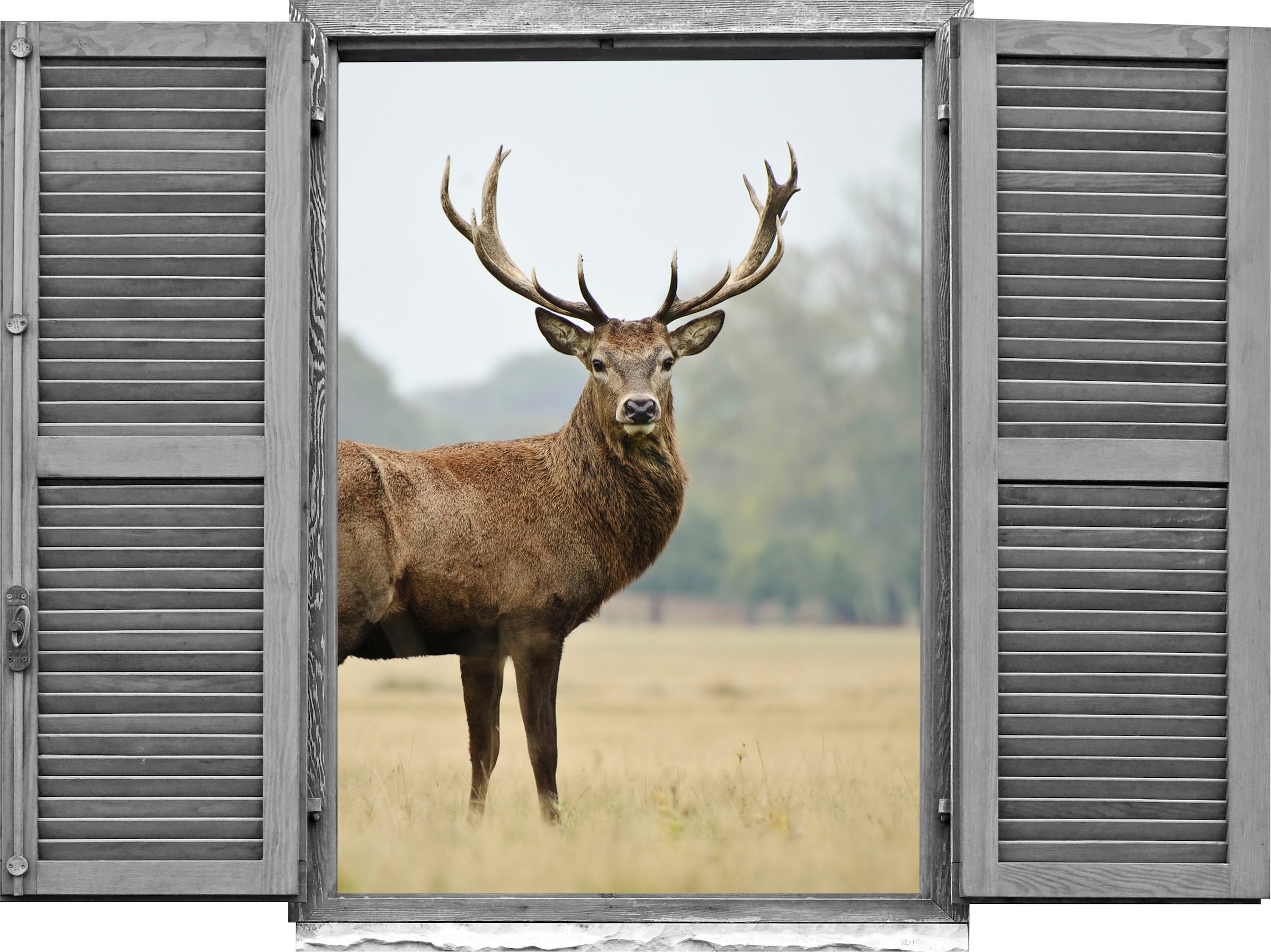 Image of queence Wandtattoo "Hirsch" Wandsticker, Wandbild, selbstklebend, 3D, Fenster