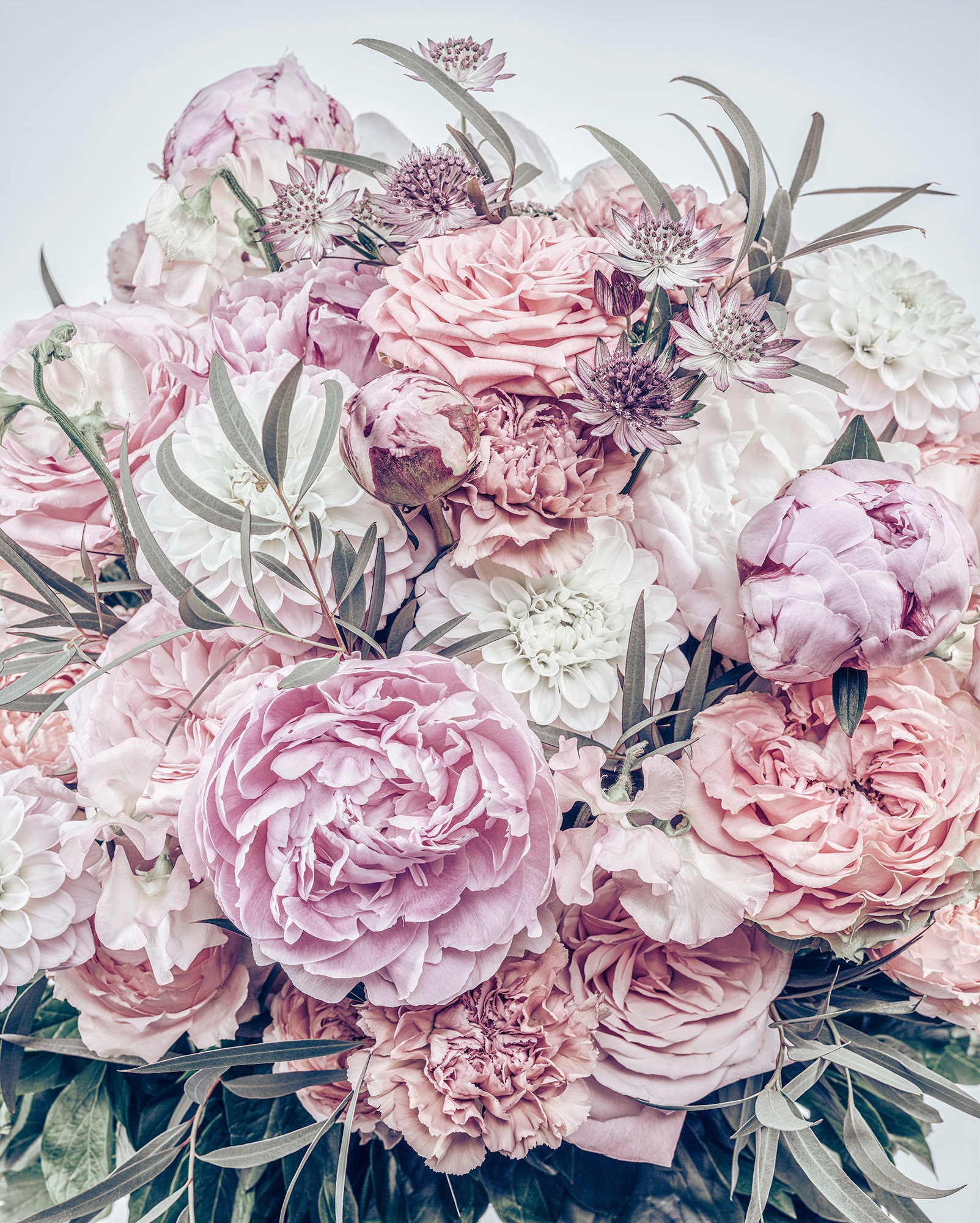 Image of Komar Fototapete »Zestful«, botanisch-tropisch-Motiv, BxL: 200x250 cm, 150 g/m², Bahnbreite 50 cm, ausgezeichnet lichtbeständig bei Ackermann Versand Schweiz