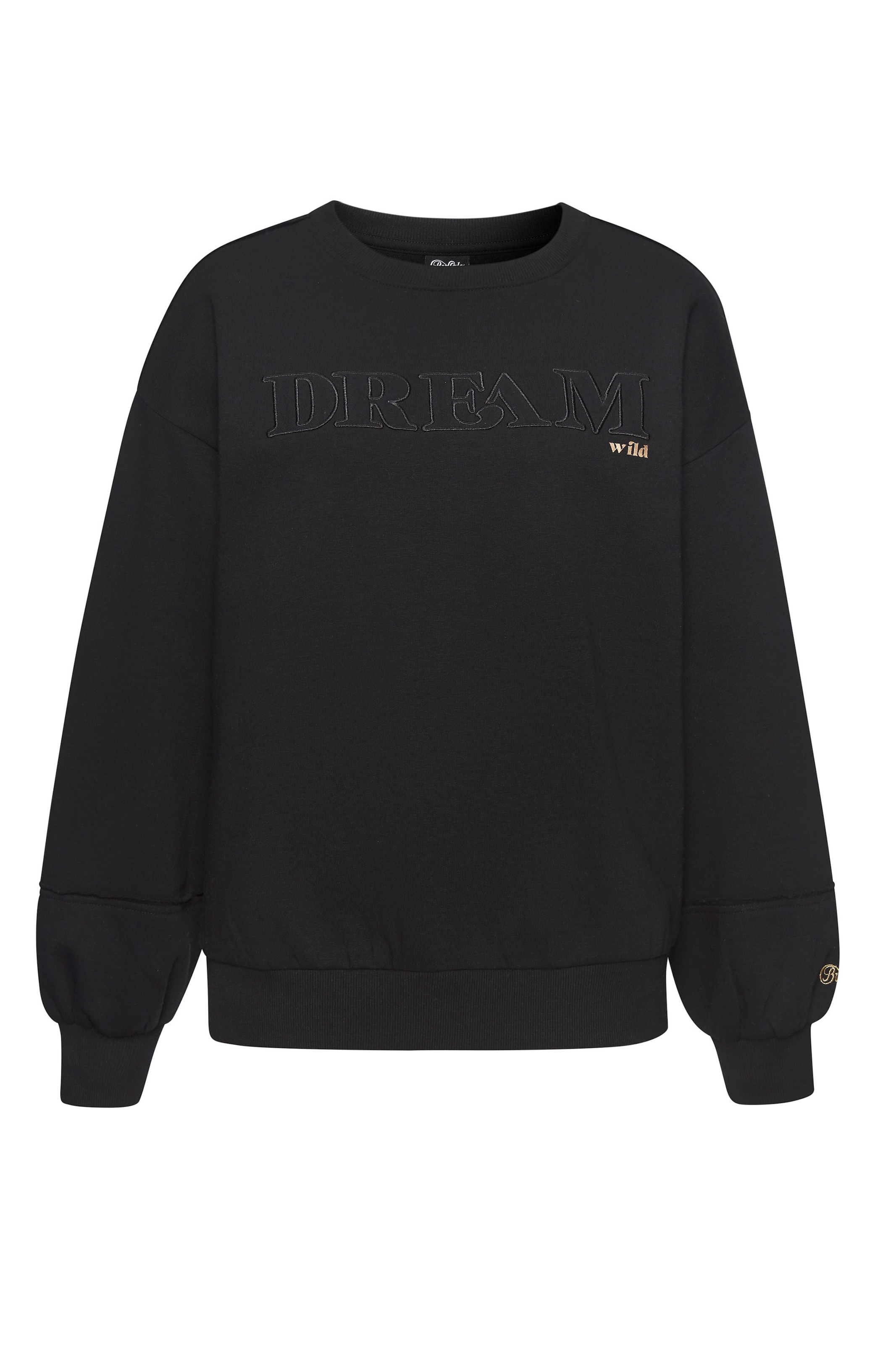 Buffalo Sweater, mit aufwendiger Stickerei