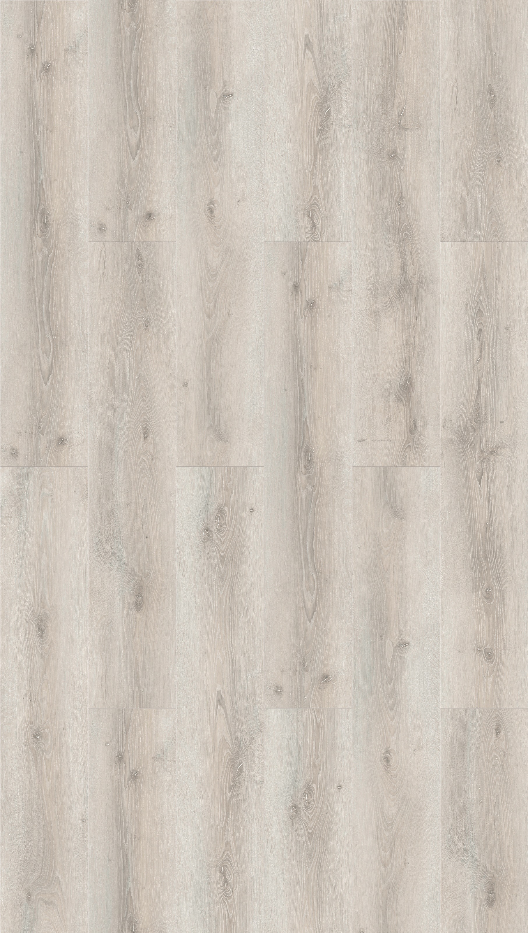 Image of PARADOR Laminat »Basic 600«, (Packung), pflegeleicht, 243 x 1285 mm bei Ackermann Versand Schweiz