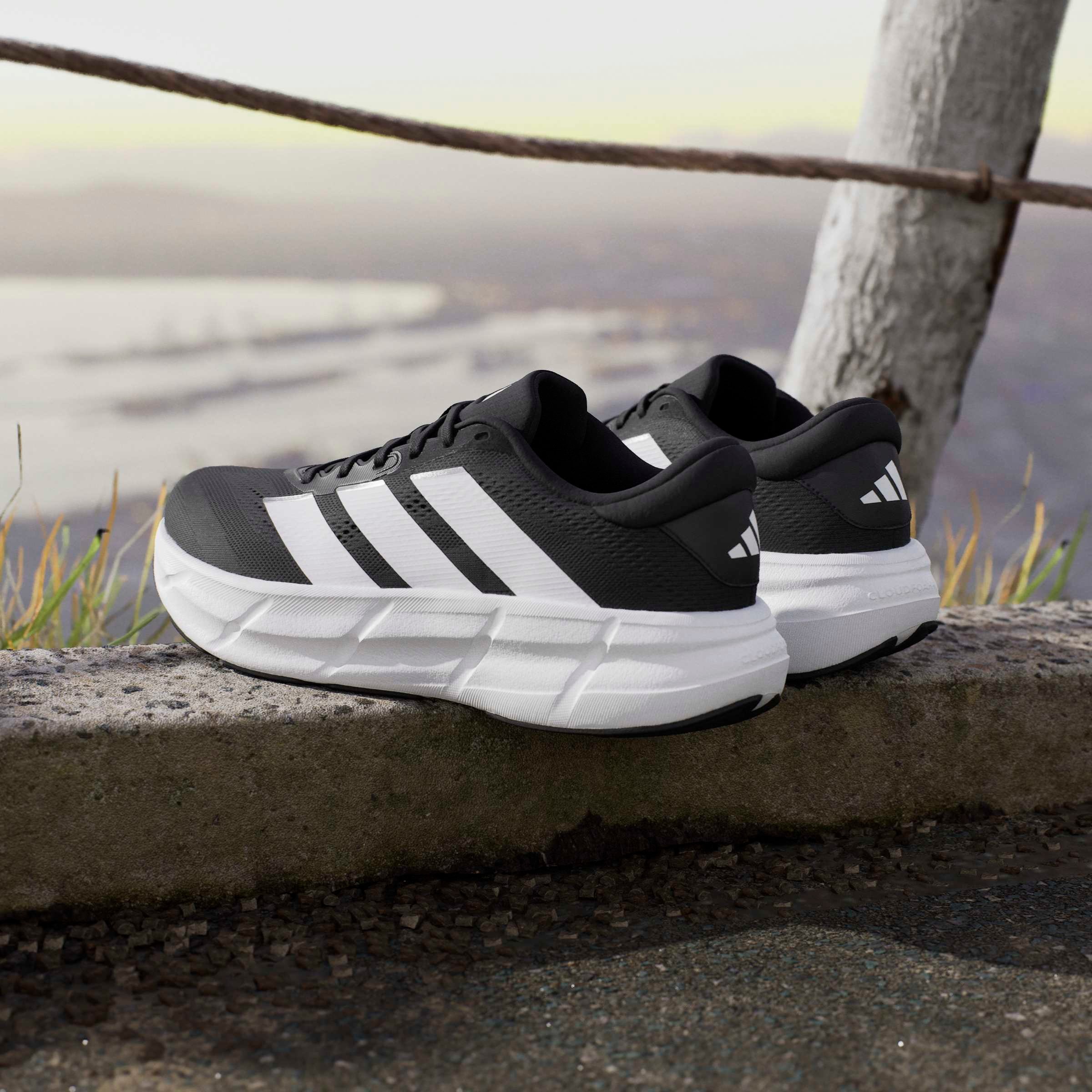 adidas Performance Chaussure de course »QUESTAR 4«