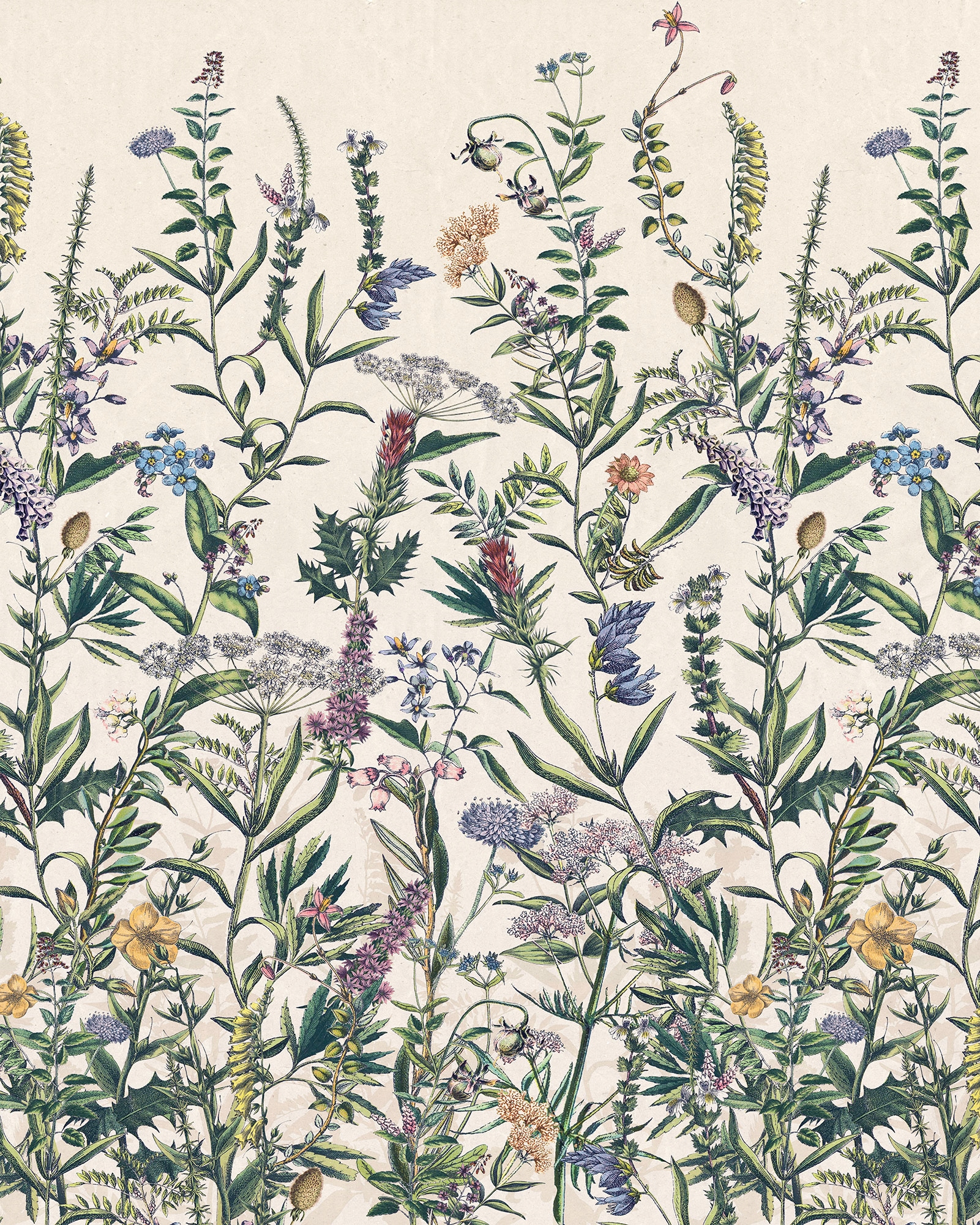 Image of Komar Vliestapete "Digitaldruck Vlies - Flowering Herbs - Grösse 200 x 250 cm" bedruckt glatt Wohnzimmer, Schlafzimmer