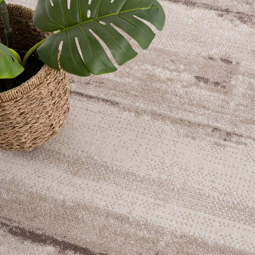 Carpet City Tapis »Moda« Rectangulaire 11 mm Höhe Kurzflor, Vintage-Optik, Weicher Flor