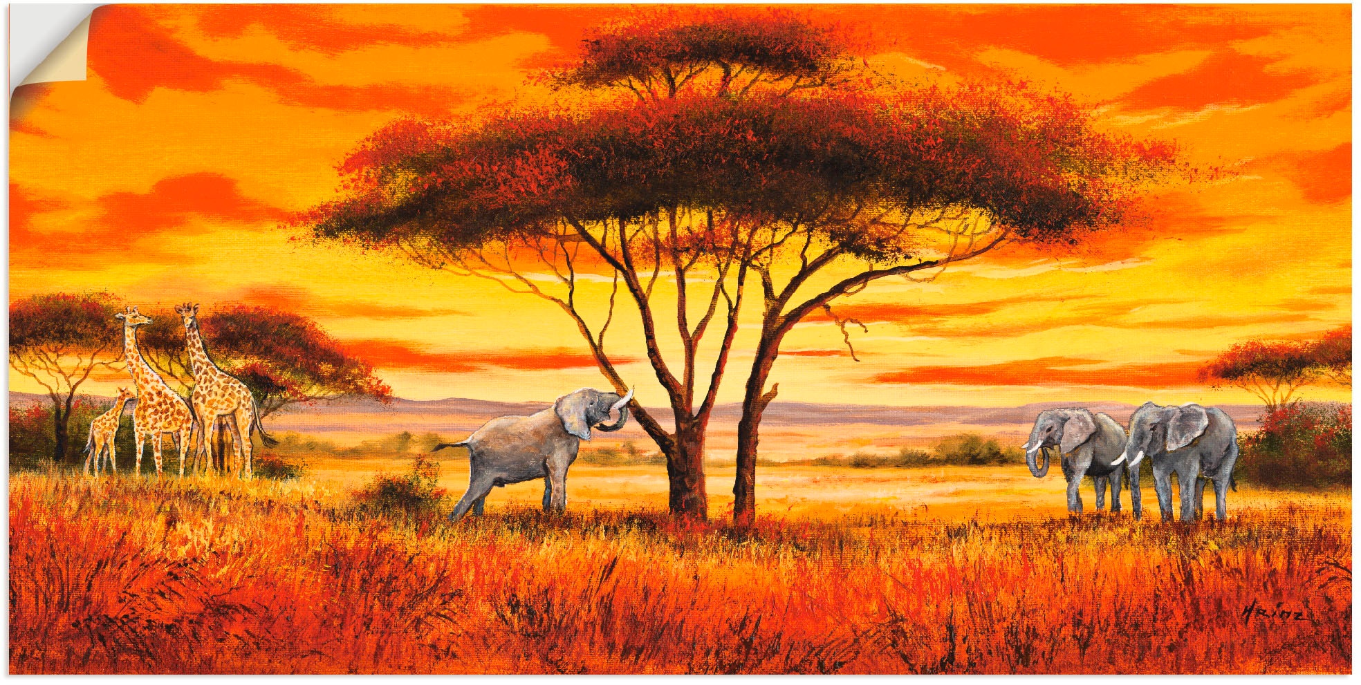 Artland versch. Alubild, Grössen »Afrikanische Poster II«, Wandbild maintenant Landschaft (1 in oder St.), Leinwandbild, Wandaufkleber als Afrika,