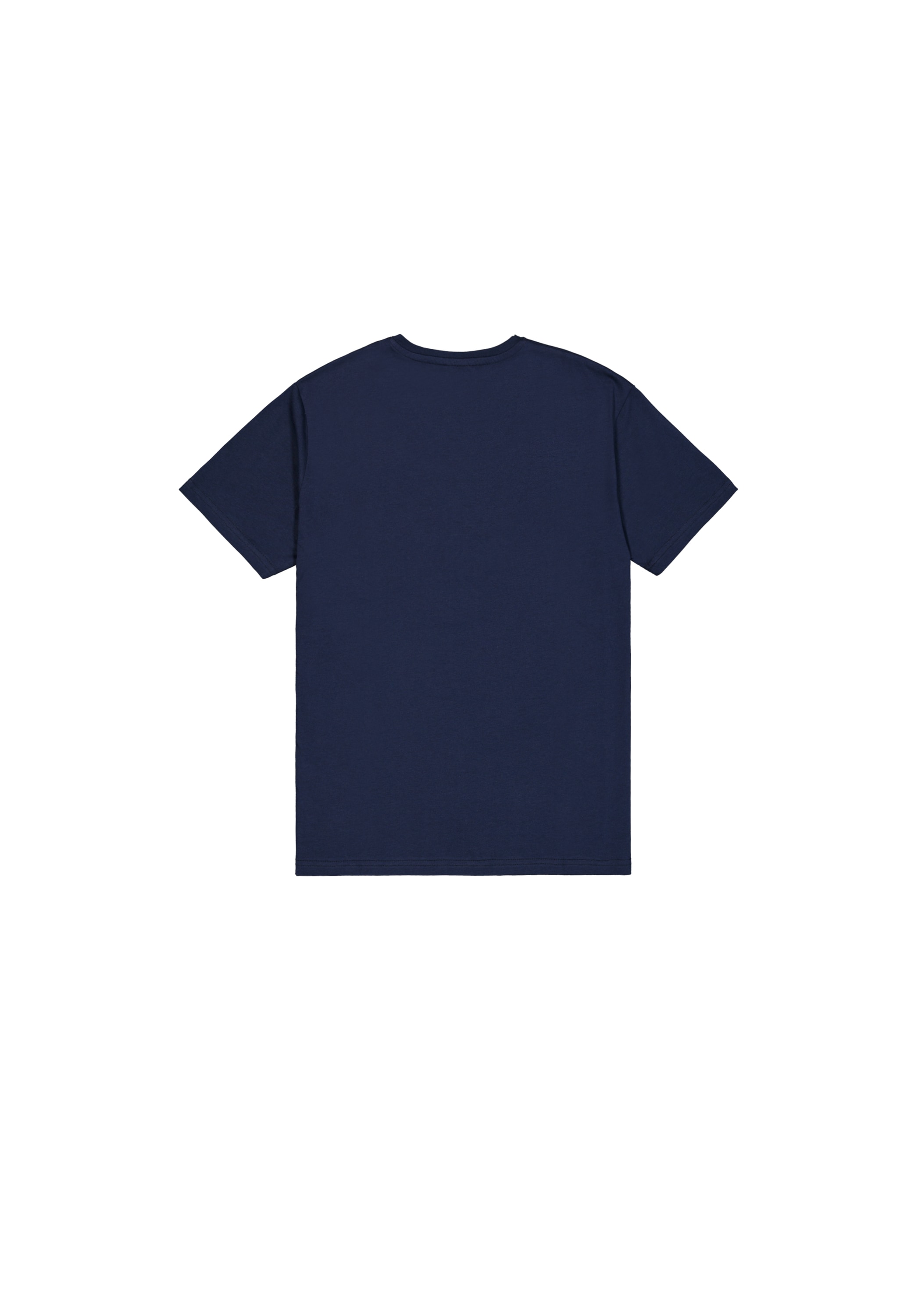 Alpha Industries T-Shirt »Basic T-Shirt BL V-Neck«