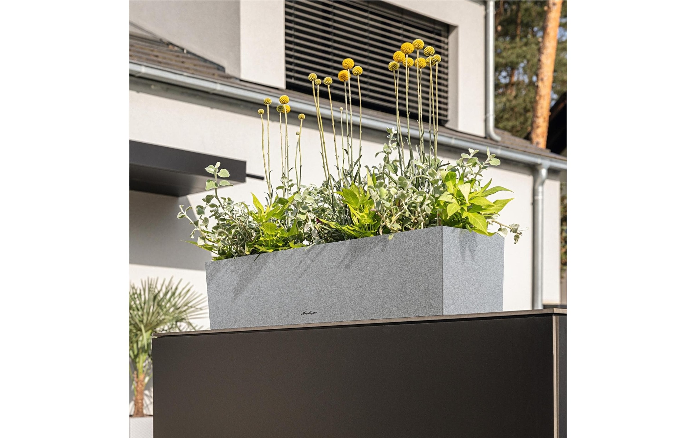   Balkonkasten »Lechuza BALCONERA Stone 40«