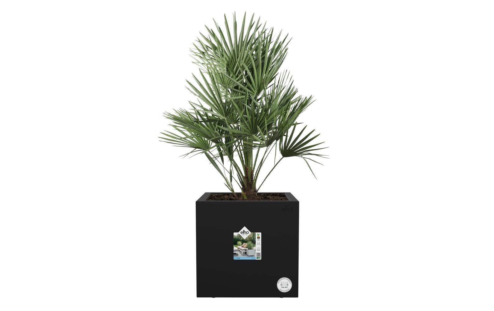 Elho Blumentopf »Next Quadrat 30 cm«