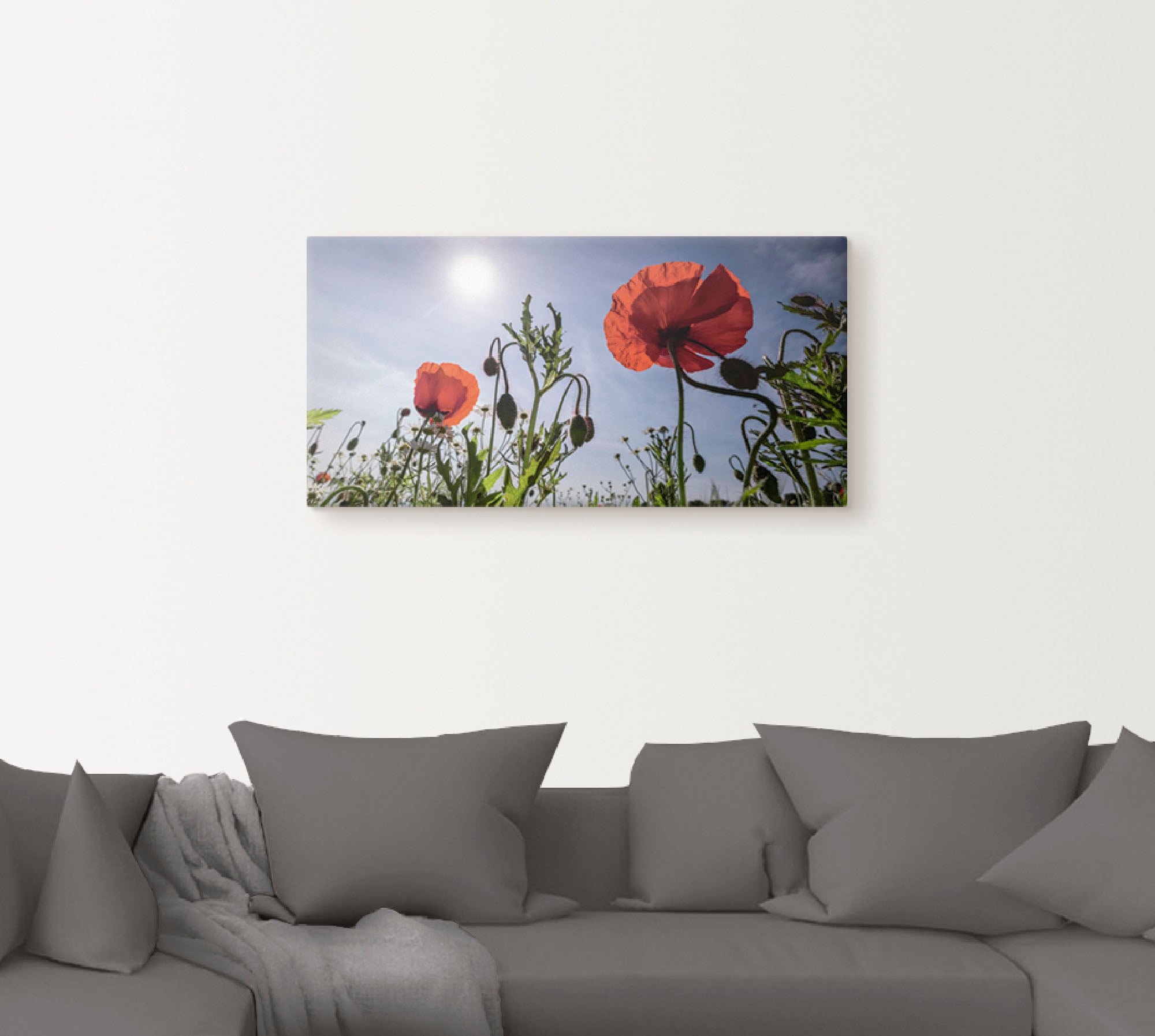 Artland Wandbild »Mohnblumen im Frühling«, Blumenwiese, (1 St.), als Alubild, Outdoorbild, Leinwandbild in verschied. Grössen