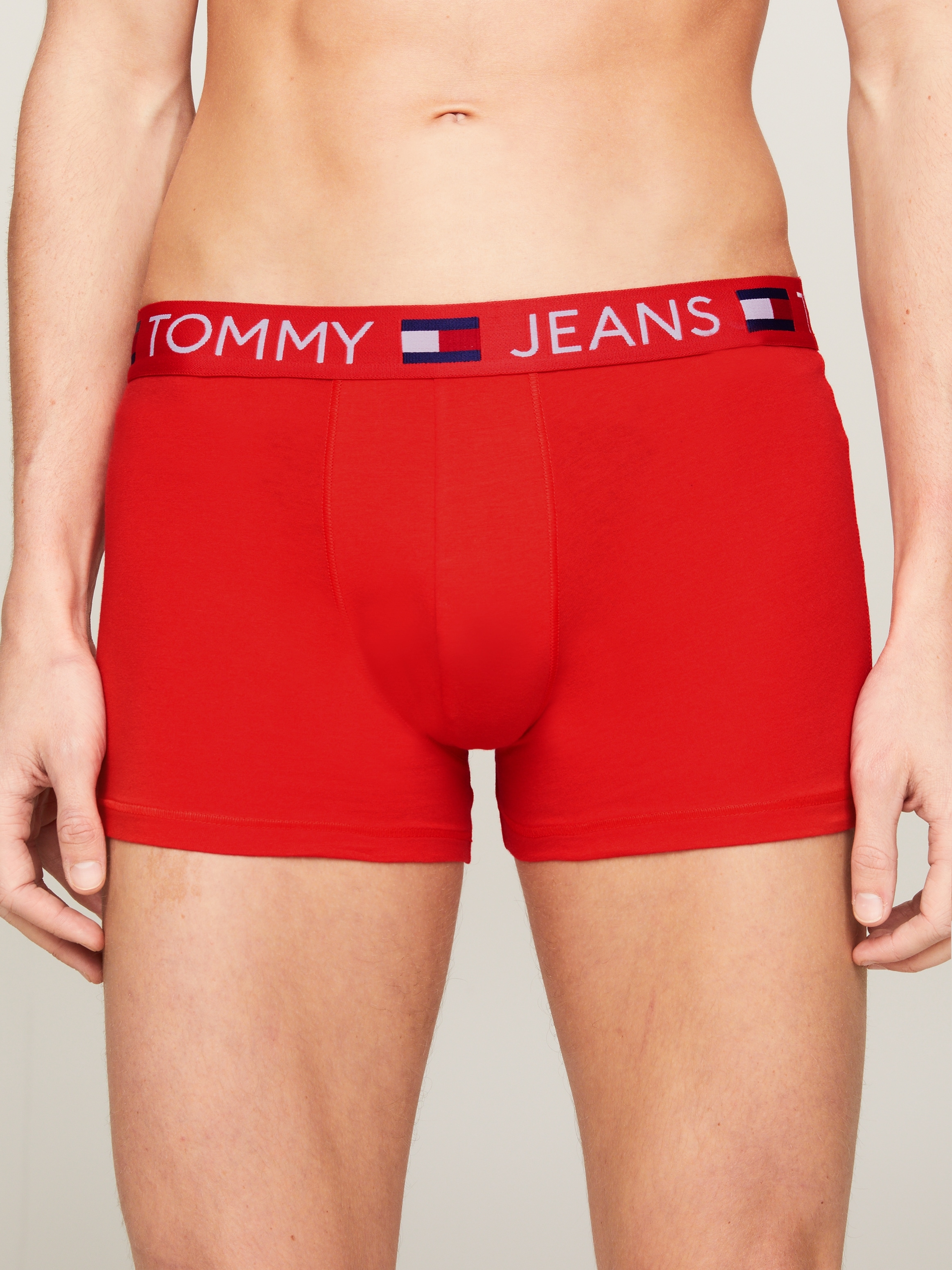 Tommy Hilfiger Underwear Trunk »3P TRUNK WB-DIFF BODY«, (Packung, 3er)