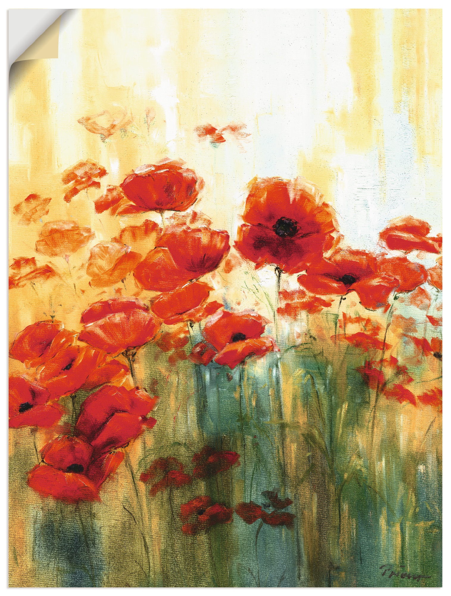 Image of Artland Wandbild »Mohnwiese«, Blumen, (1 St.), in vielen Grössen & Produktarten - Alubild / Outdoorbild für den Aussenbereich, Leinwandbild, Poster, Wandaufkleber / Wandtattoo auch für Badezimmer geeignet bei Ackermann Versand Schweiz