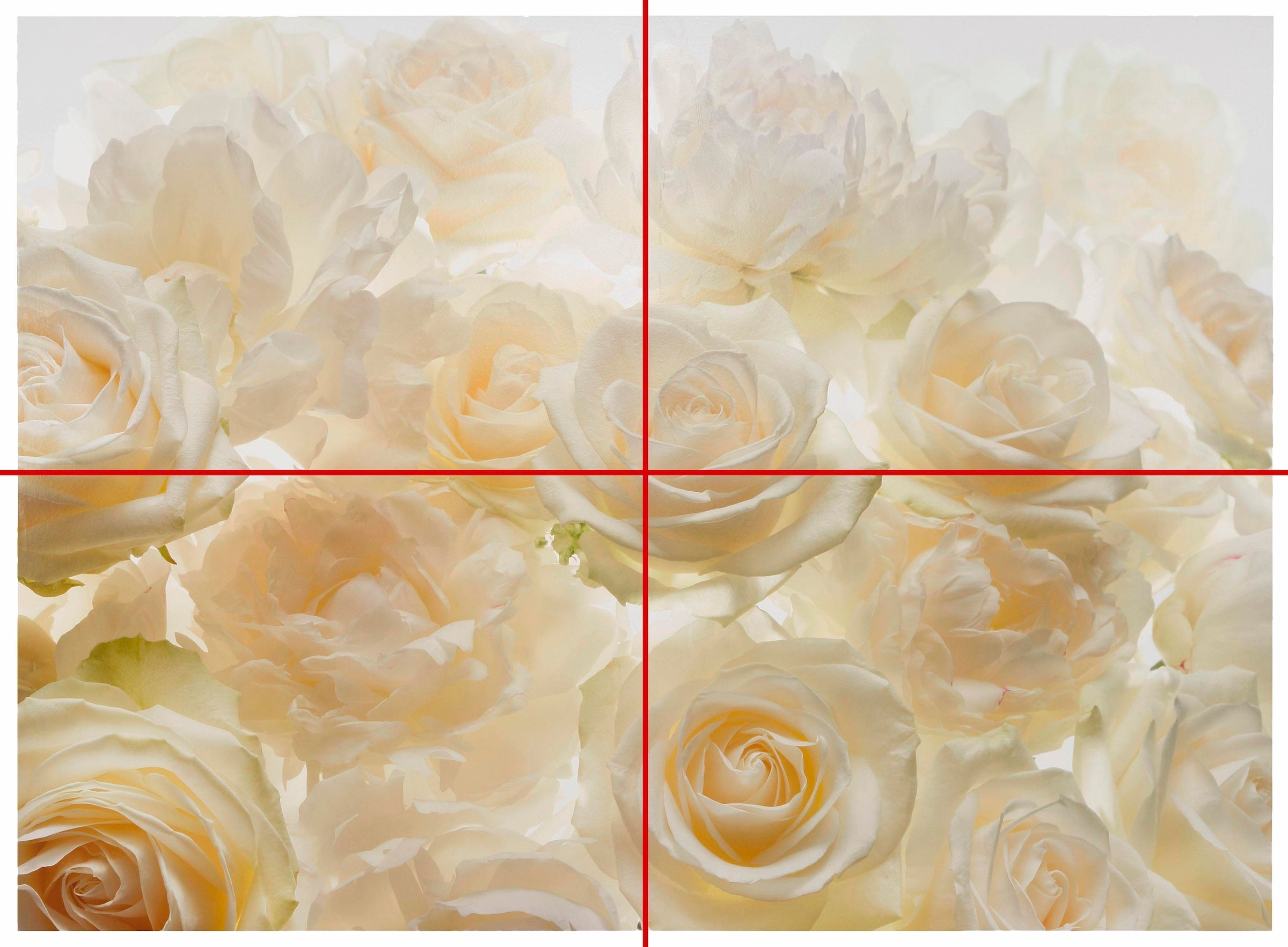 Komar Papier peint intissé »Vlies  - Shalimar - Grösse 368 x 248 cm« imprimé Wohnzimmer, Schlafzimmer