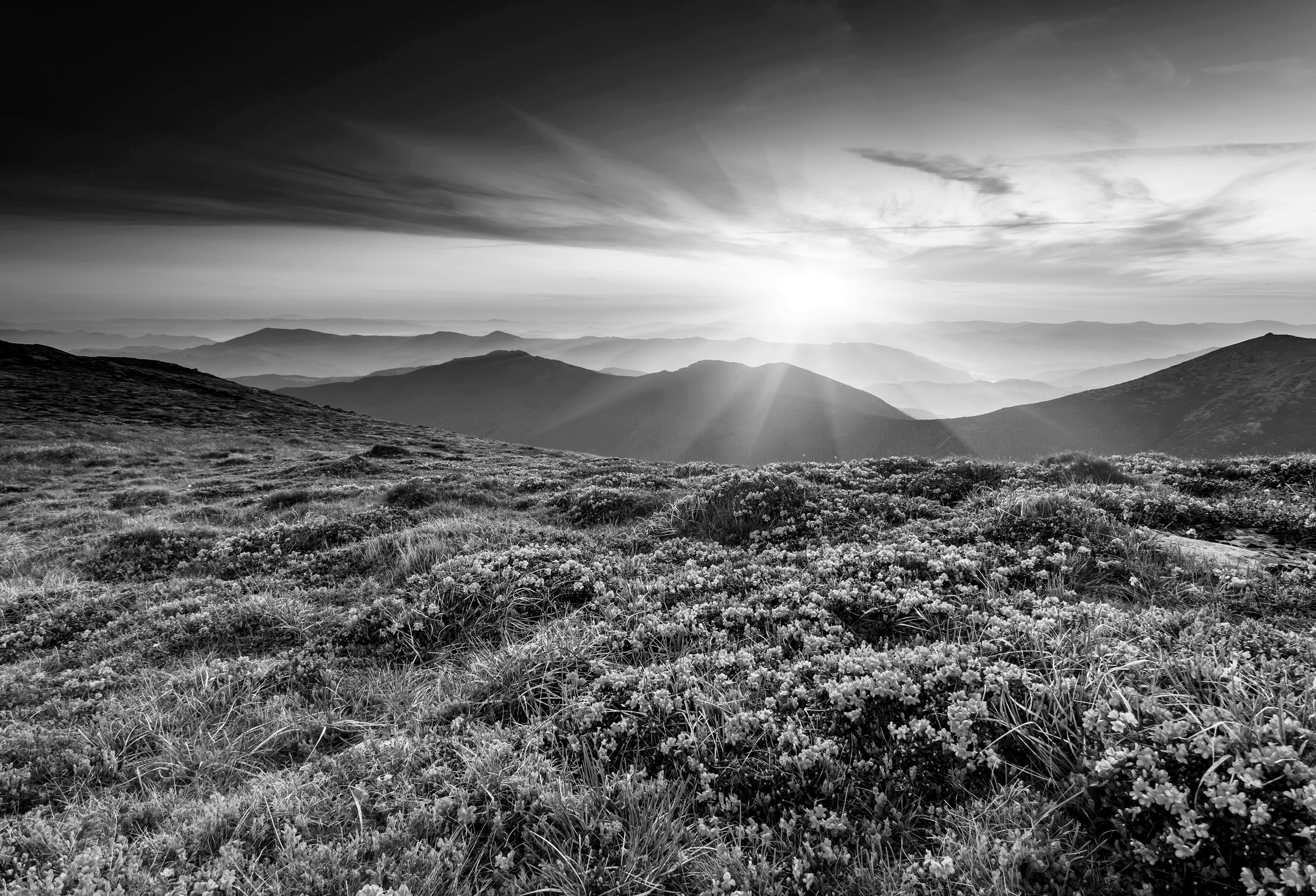 Fototapete »Landschaft Schwarz & Weiss«