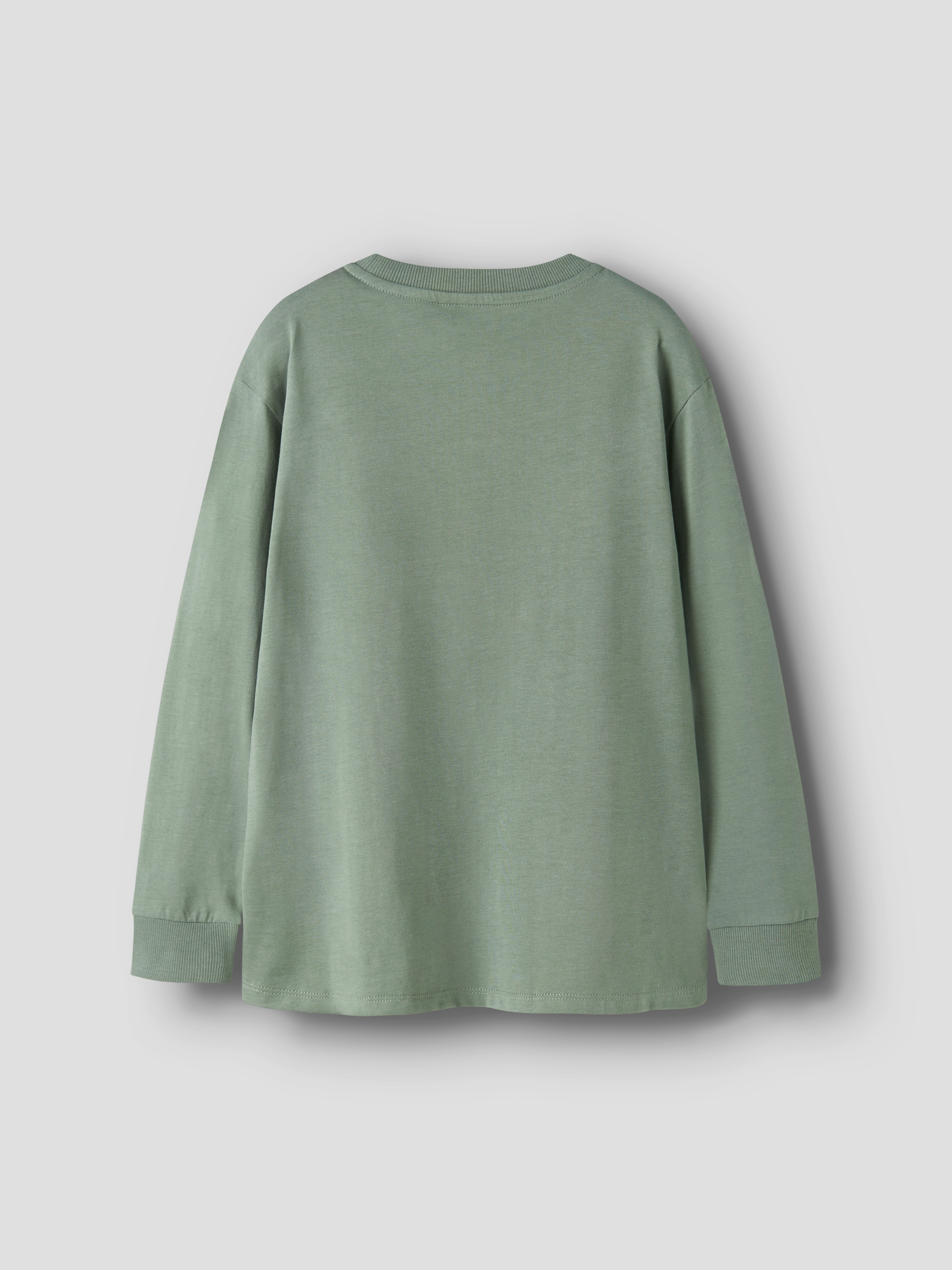 Name It Langarmshirt »NKMOBAY LS NREG TOP PB«