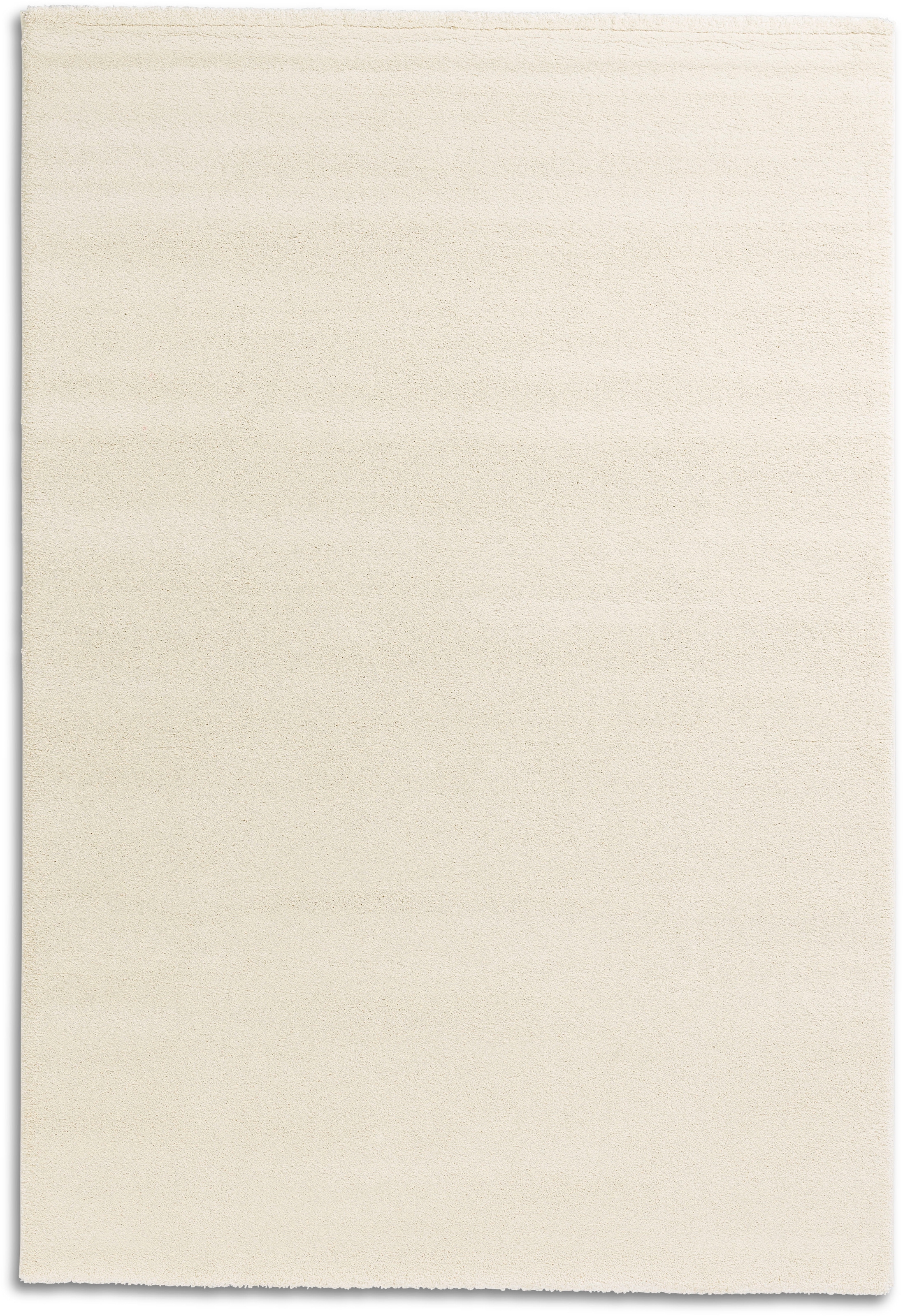 Image of SCHÖNER WOHNEN-Kollektion Teppich "Joy" rechteckig 22 mm Höhe Wohnzimmer