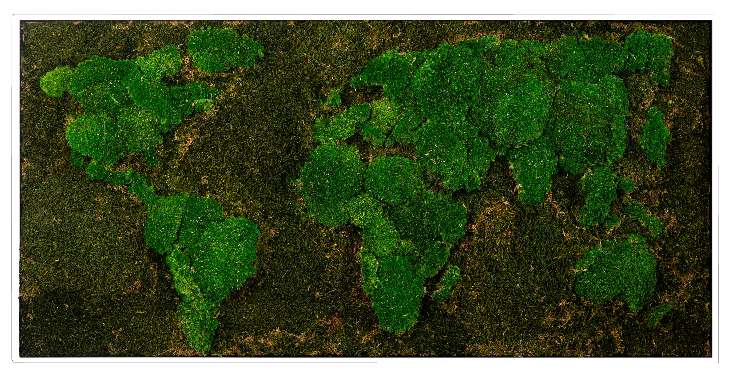 Image of Bönninghoff Bild mit Rahmen "Moosbild "Weltkarte" 60x120 cm, weisser Rahmen" 1 Stk. tlg. handgefertigt, jedes Bild ein Unikat