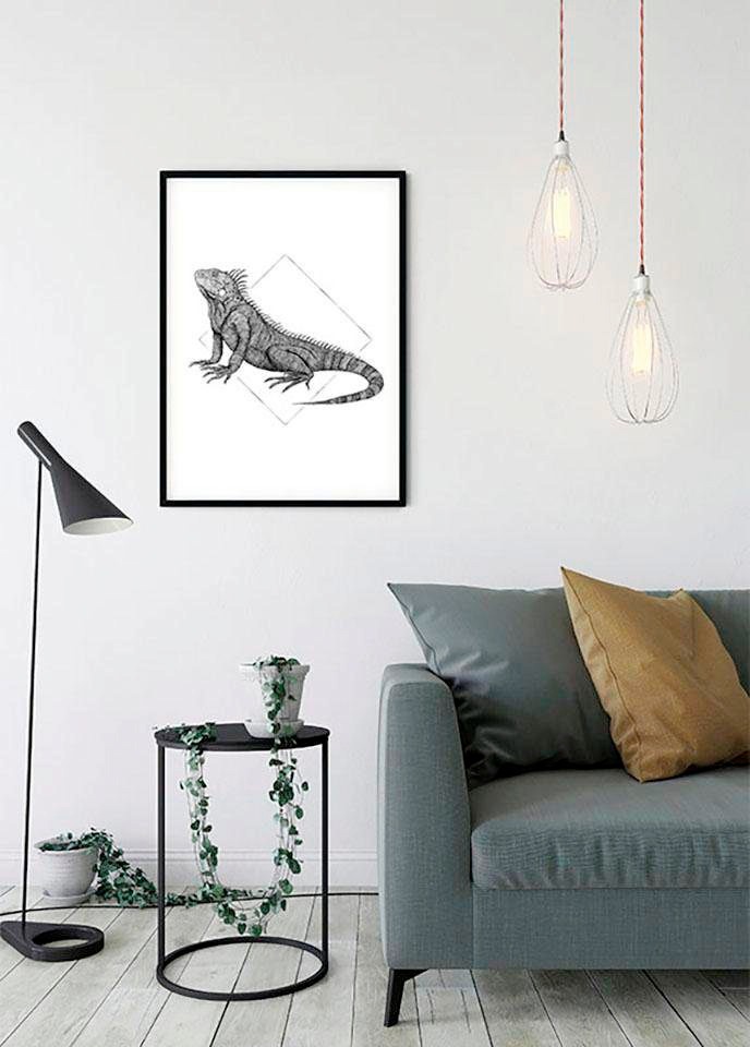 Image of Komar Bild "Iguana White" Tiere 1 Stk. tlg. Wandbild zur Dekoration - ohne Rahmen
