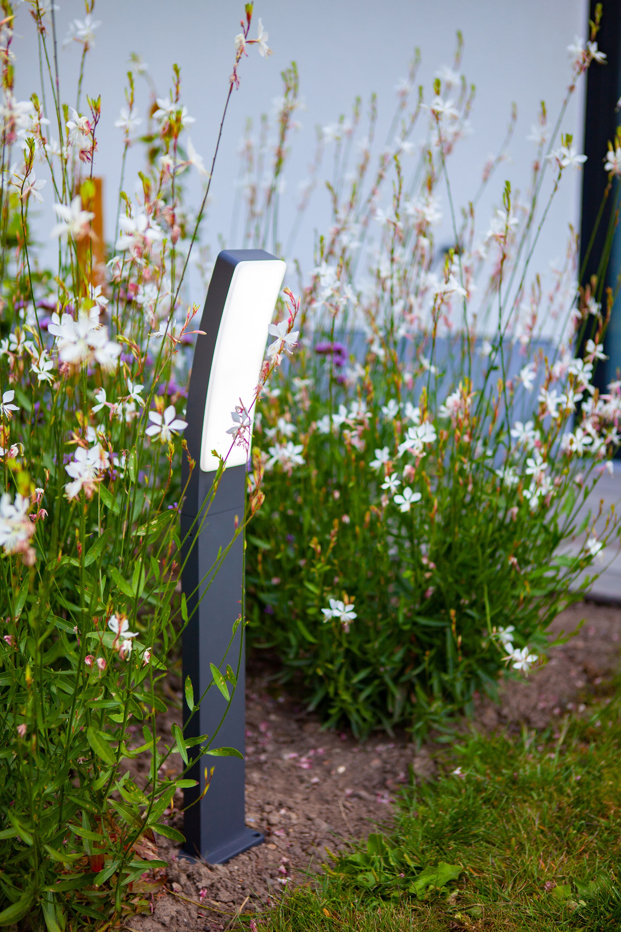 LUTEC LED Aussen-Wandleuchte »KIRA«, Leuchtmittel LED-Modul | LED fest integriert