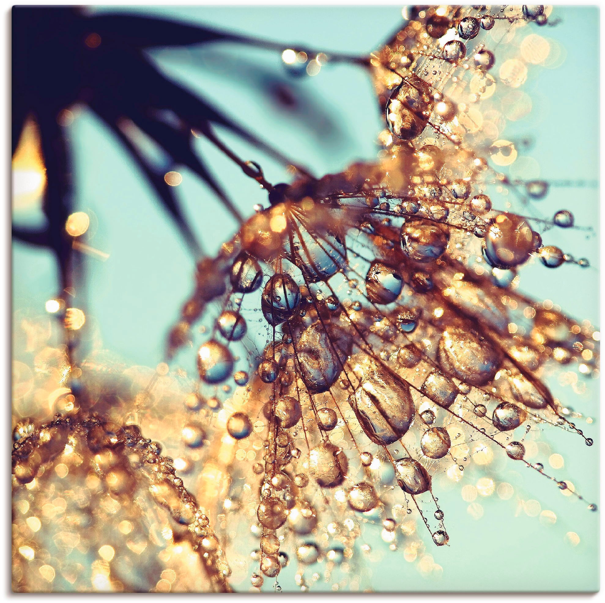 Image of Artland Wandbild »Pusteblume Goldener Regen«, Blumen, (1 St.), in vielen Grössen & Produktarten - Alubild / Outdoorbild für den Aussenbereich, Leinwandbild, Poster, Wandaufkleber / Wandtattoo auch für Badezimmer geeignet bei Ackermann Versand Schweiz