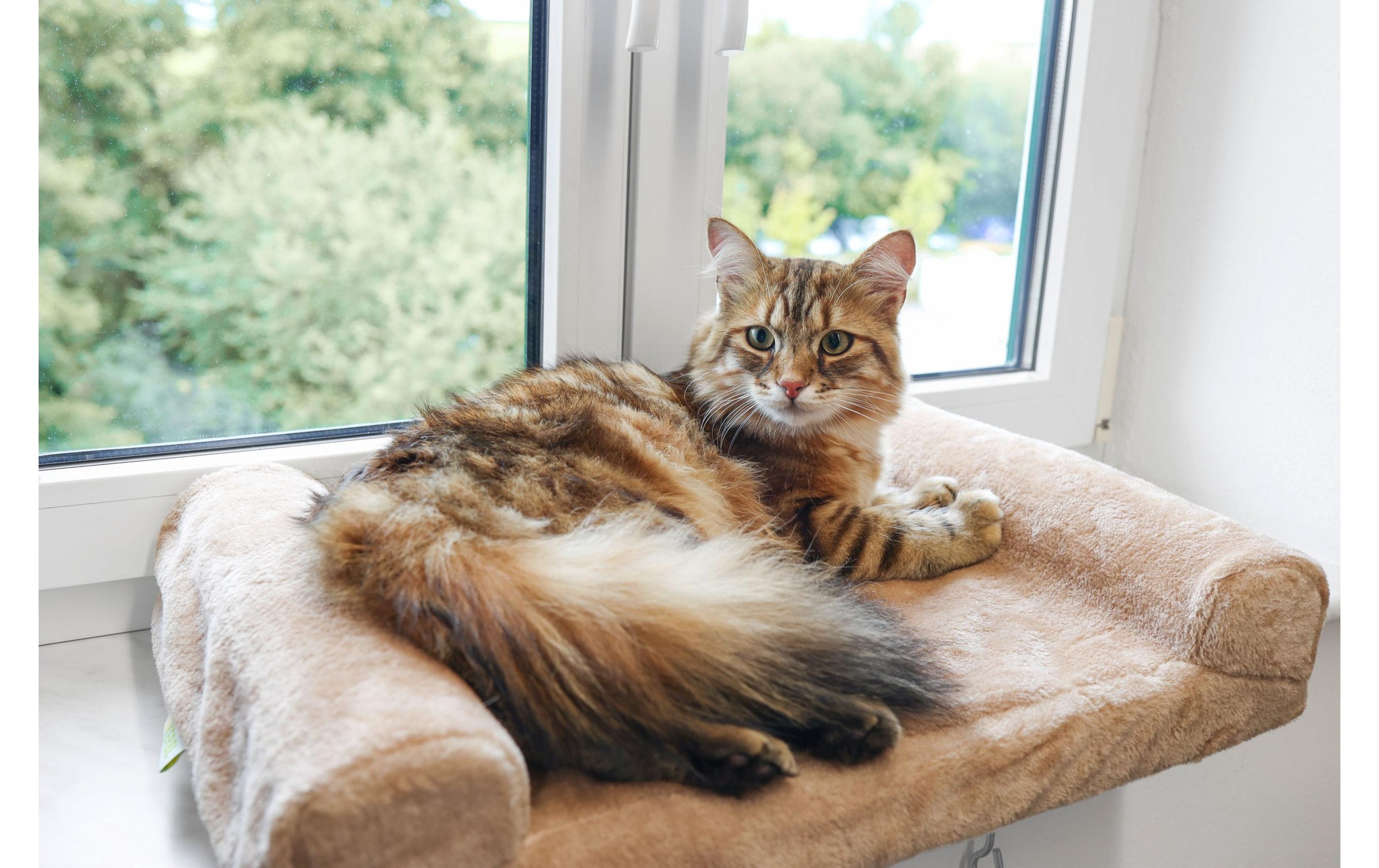 Kerbl Katzenliege »Fensterliegebrett 55 x 35 cm«