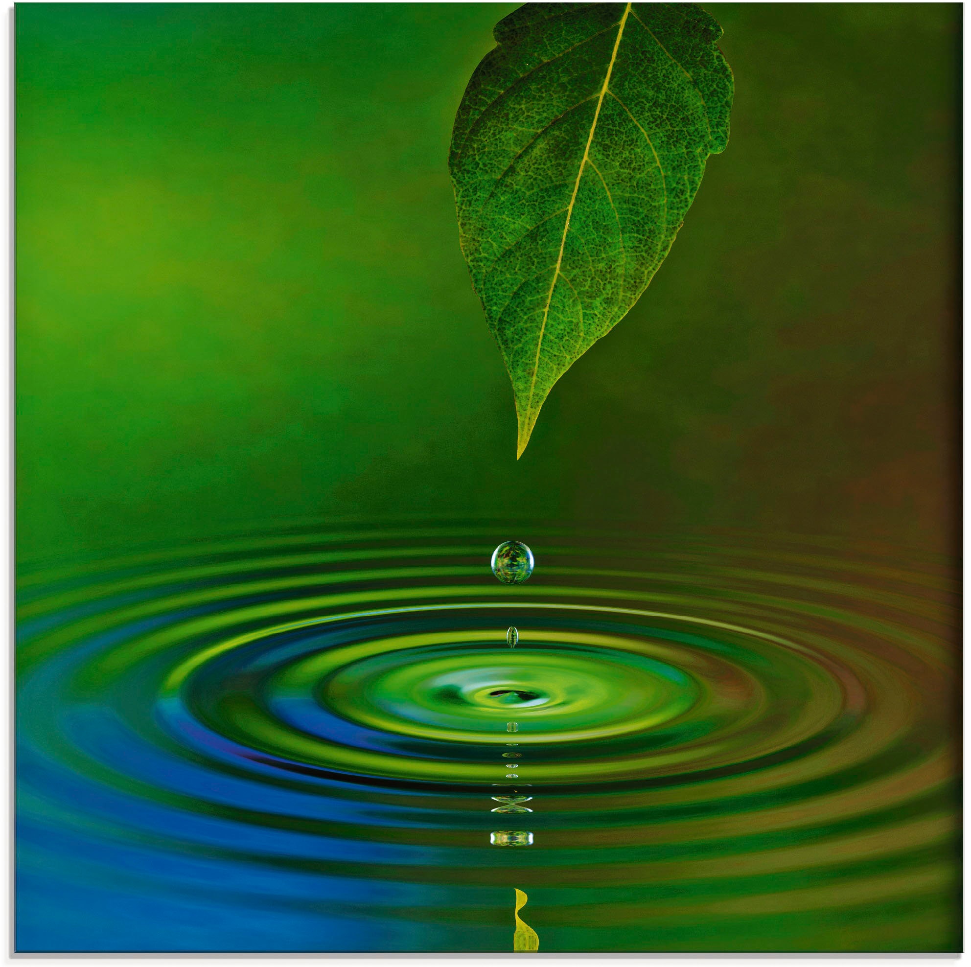 Image of Artland Glasbild "Wassertropfen" Zen 1 Stk. tlg. in verschiedenen Grössen