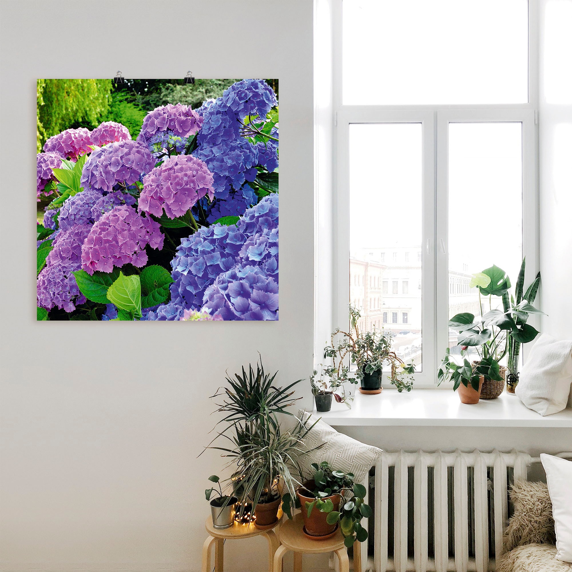 Artland Wandbild »Hortensien im Garten«, Blumen, (1 St.), als Alubild, Outdoorbild, Leinwandbild, Poster, Wandaufkleber