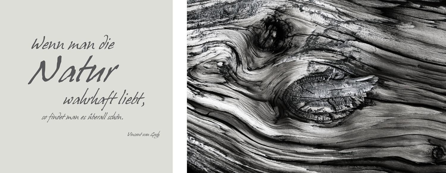 Image of queence Leinwandbild "Natur" Baum Baumbilder Kunst Modern Schriftzug Schriftzüge Spa Spa Bilder Sprüche Sprüche & Texte Set, Premium-Leinwandstoff, Handarbeit aus Deutschland, Zitat, 2er Set