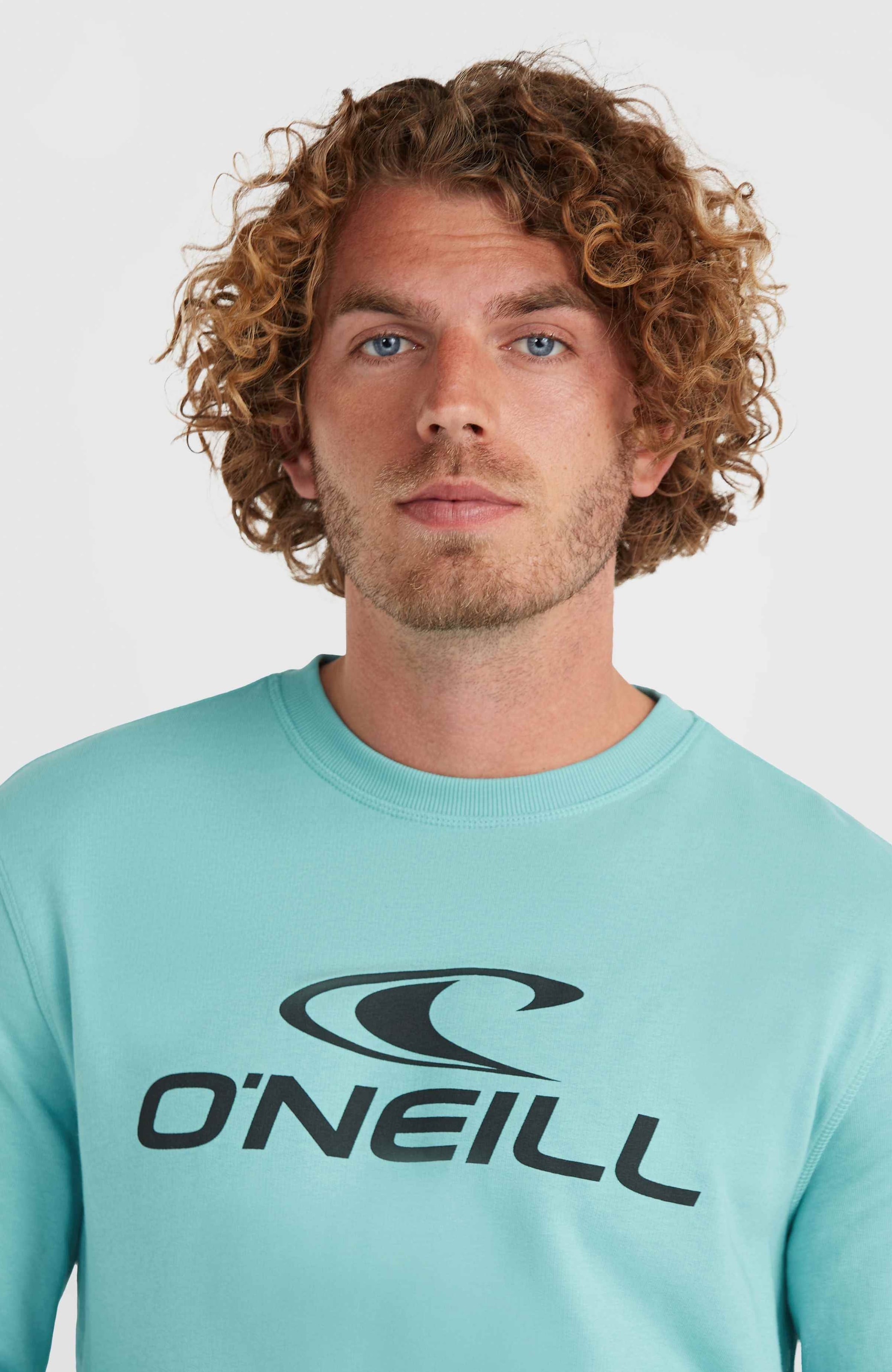 O'Neill Sweatshirt »O'NEILL LOGO CREW«