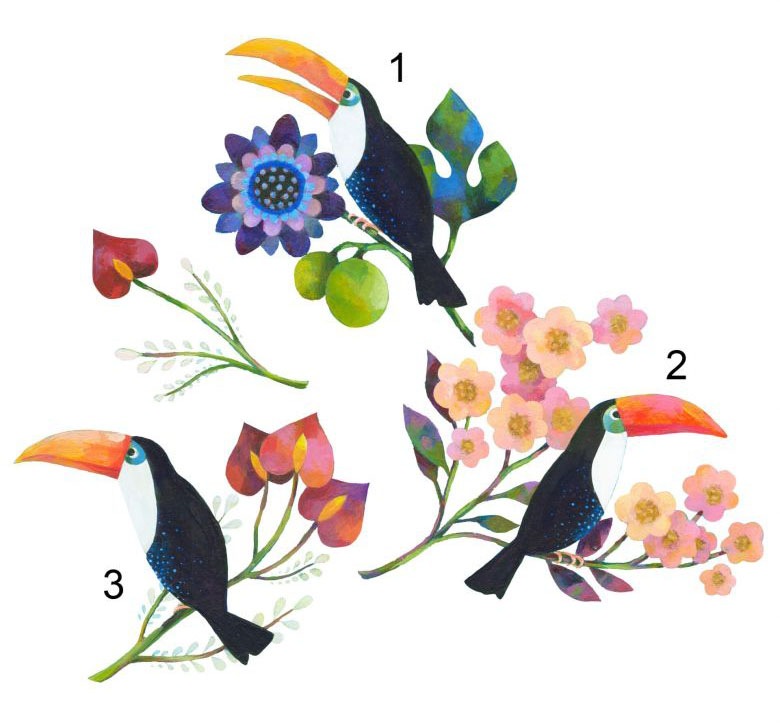 Image of Wall-Art Wandtattoo »Märchenhaft Tukan Set«, (1 St.) bei Ackermann Versand Schweiz