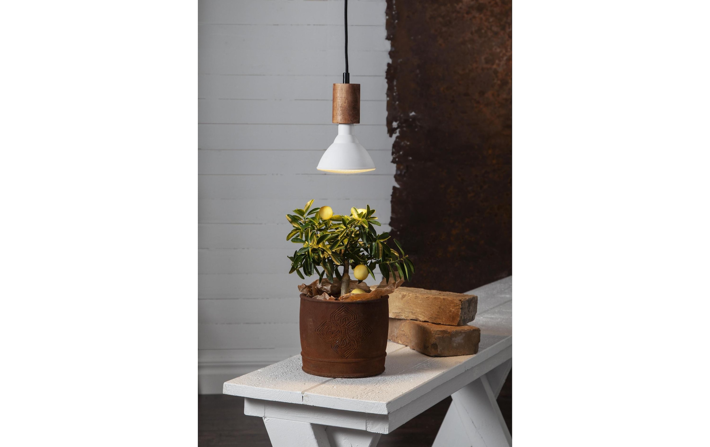 Parforce Traditional Hunting LED-Leuchtmittel »Leuchtmittel Plant Lig«