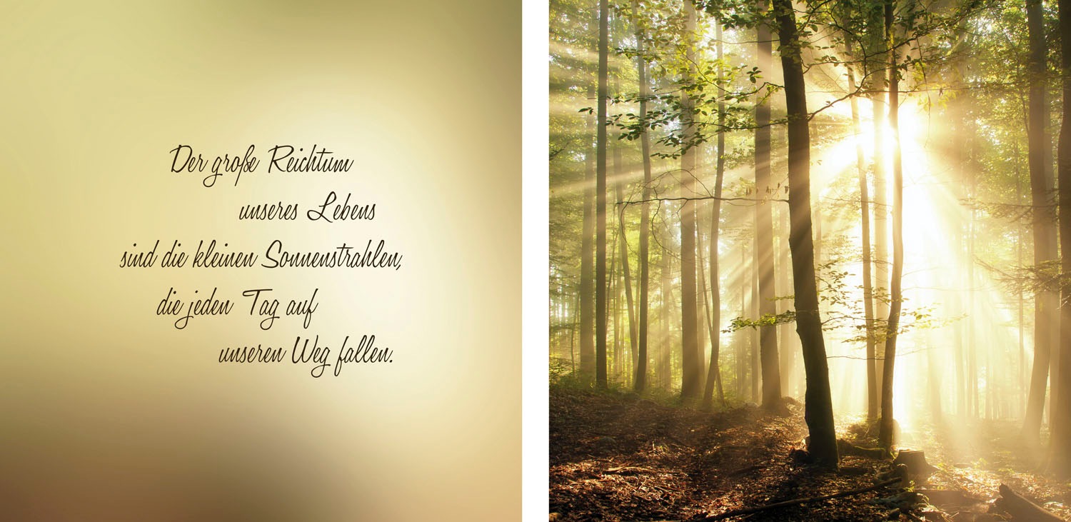 Image of queence Leinwandbild "Sonnenstrahlen" Himmel Kunst Modern Schriftzug Schriftzüge Sonnenaufgang Spa Spa Bilder Sprüche Sprüche & Texte Wald Waldbilder Set, Premium-Leinwandstoff, Handarbeit aus Deutschland, Spruch, 2er Set