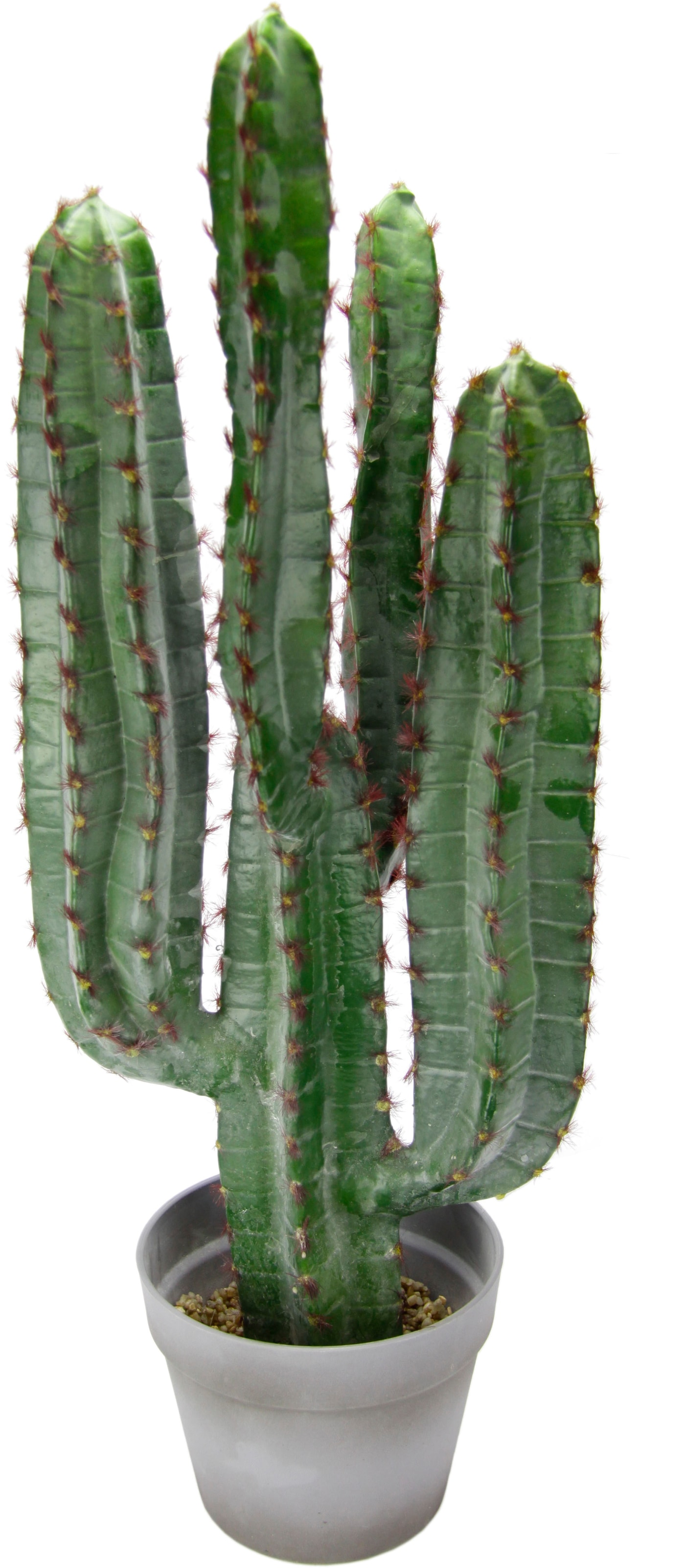 I.GE.A. Kunstpflanze »Säulenkaktus«, 70 cm im %SALE