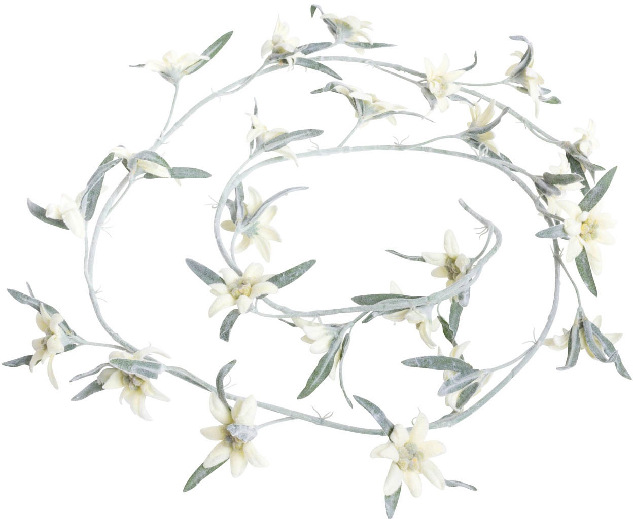 Image of Botanic-Haus Kunstblume »Edelweissgirlande«, (1 St.) bei Ackermann Versand Schweiz
