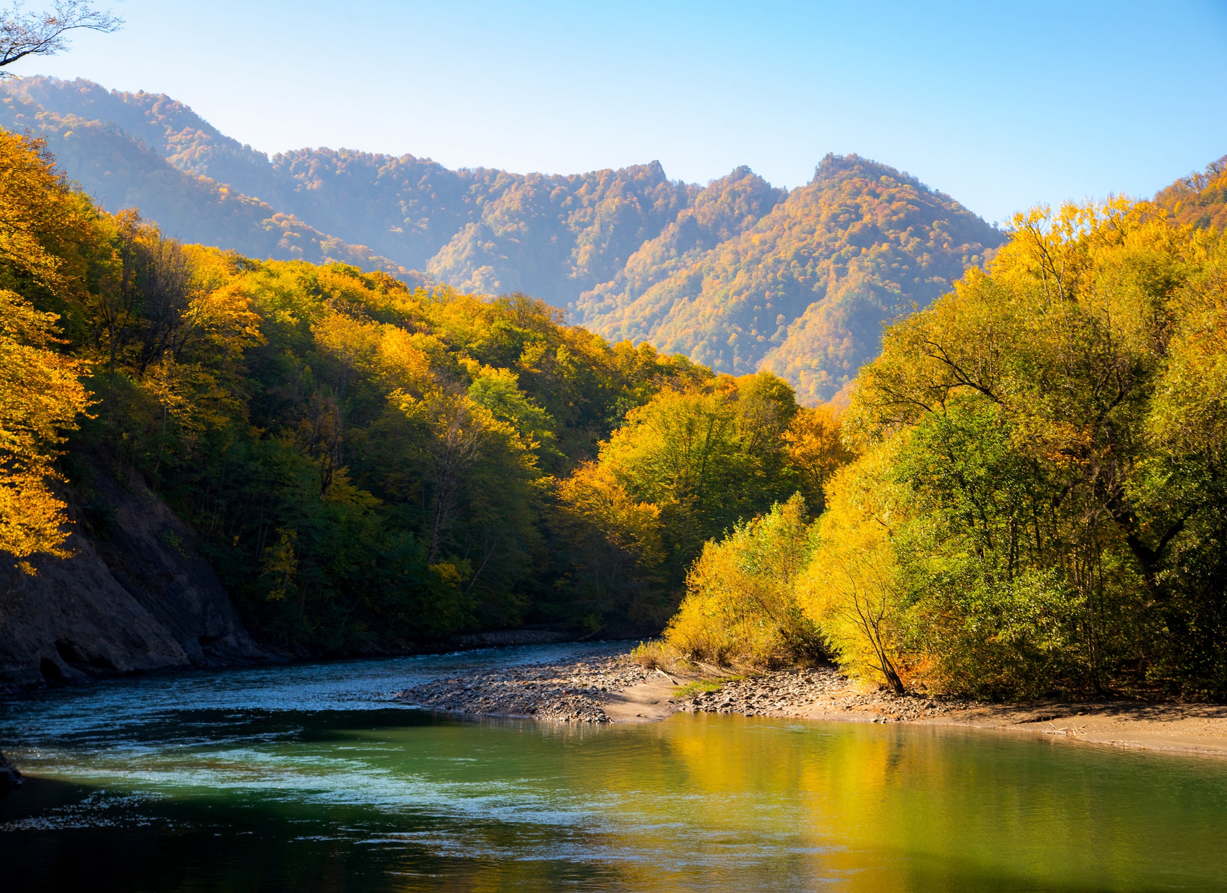 Image of Papermoon Fototapete "Autumn Mountain Forest River" glatt