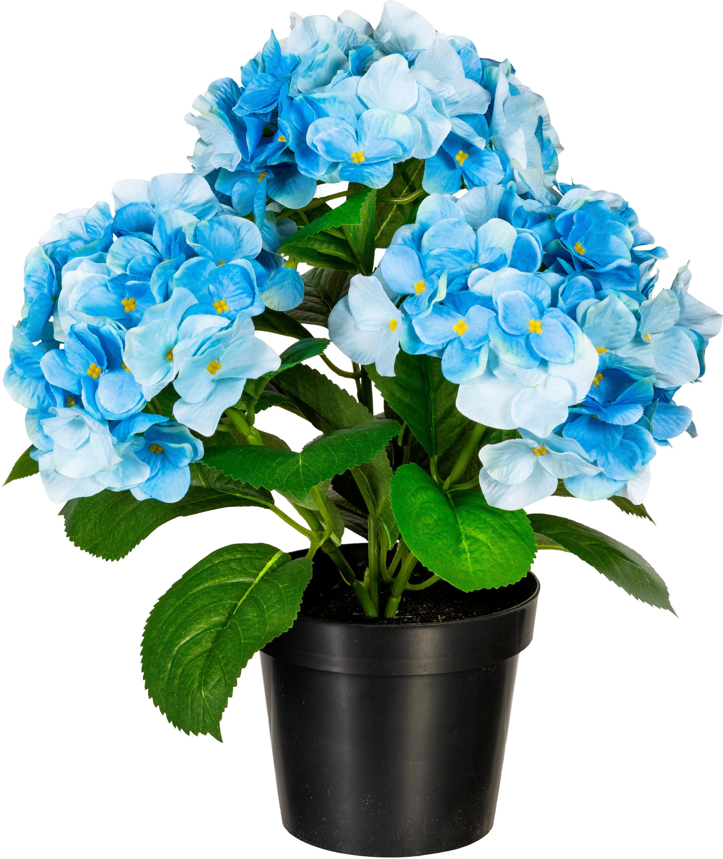 Image of Creativ green Kunstpflanze »Hortensienbusch«, (1 St.) bei Ackermann Versand Schweiz