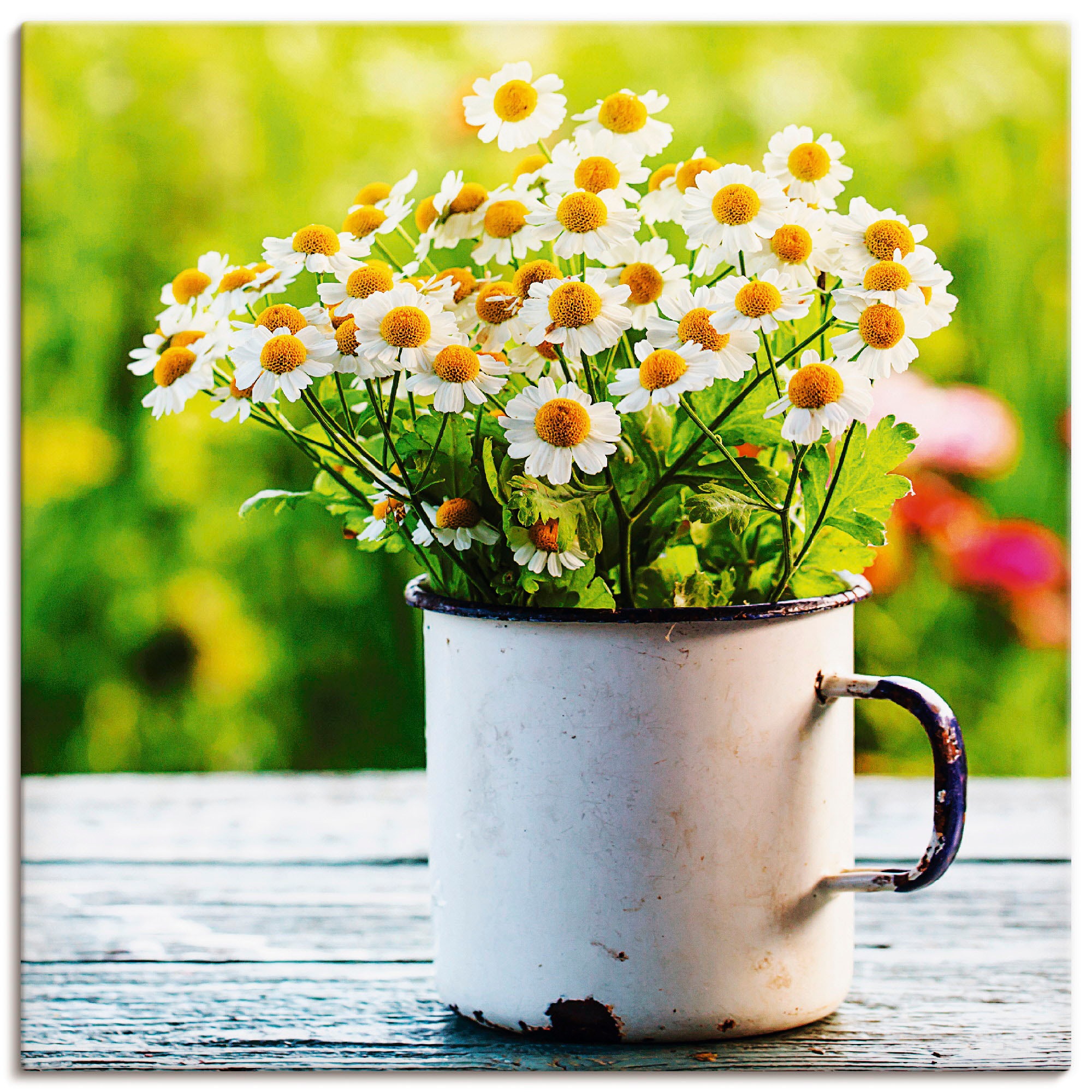 Image of Artland Leinwandbild "Frühlingsgarten mit Gänseblümchen" Blumen 1 Stk. tlg. auf Holzrahmen gespannt