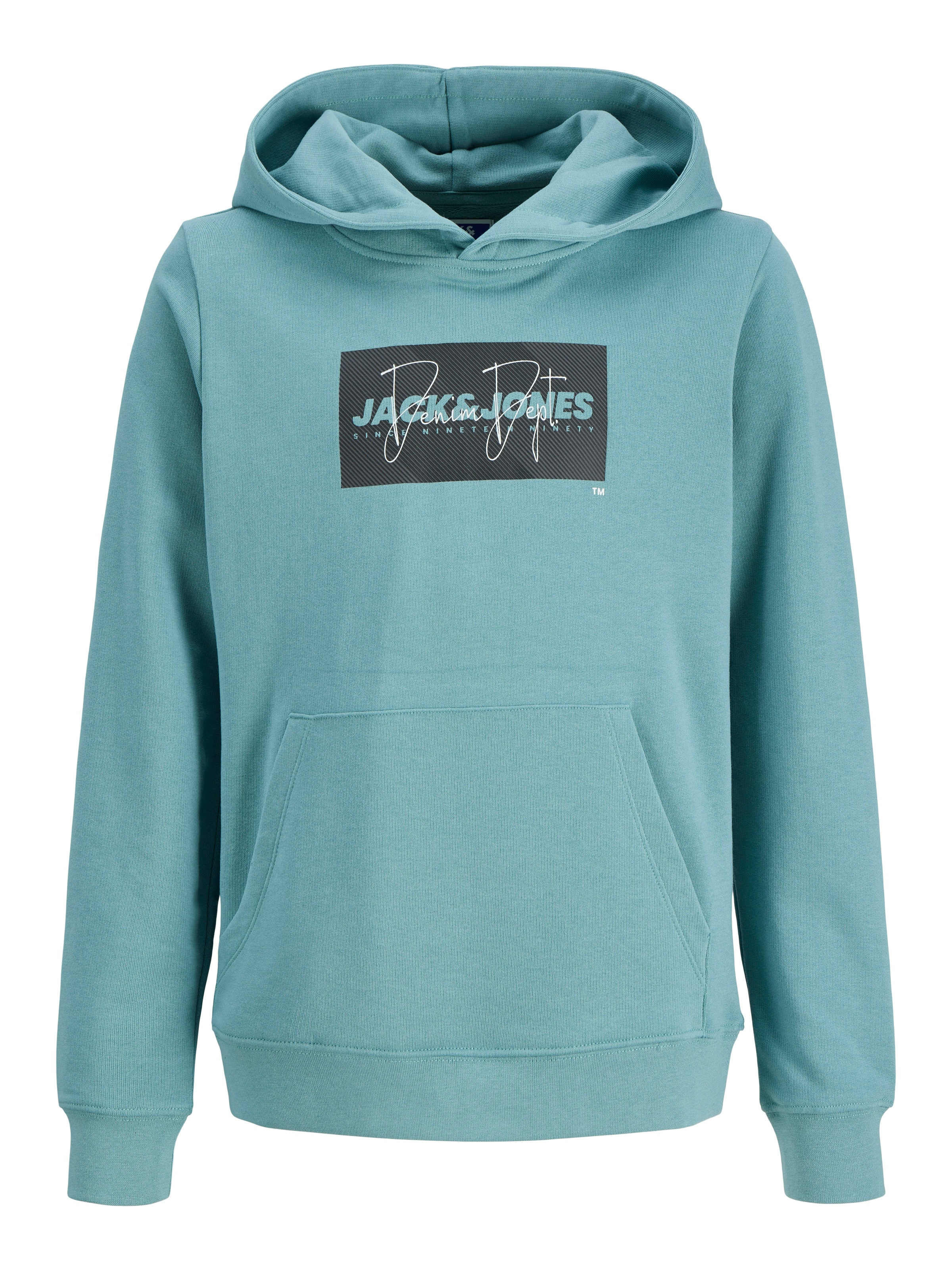 Jack & Jones Junior Kapuzensweatshirt »JJCOLE PRINT SWEAT HOOD JNR«, mit Logoprint
