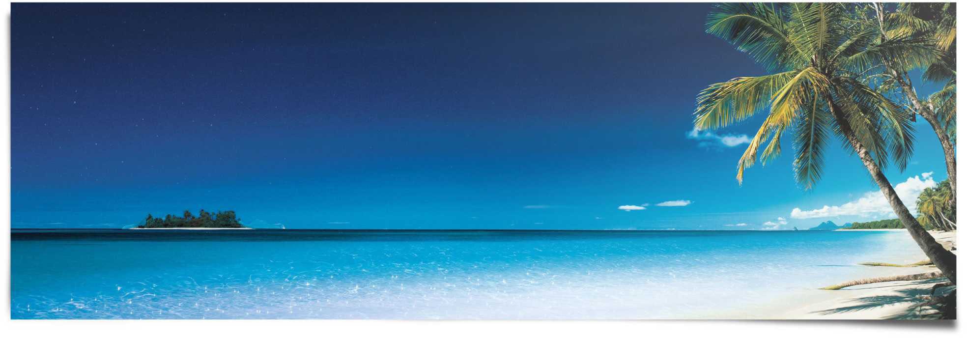 Image of Reinders Poster "Palme am Strand" 1 Stk. tlg.
