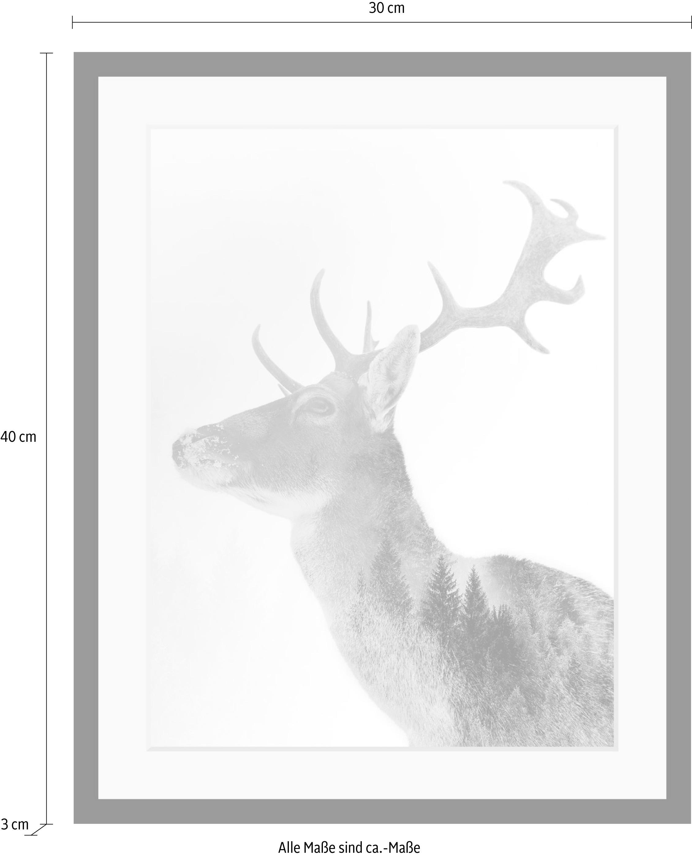 queence Bild »Hirsch«, Hirsch-Tiere-Wildtiere-Hirschbilder-Wald-Waldbilder-Schwarz-Weiss, HD Premium Poster-Druck inkl. Holzrahmen
